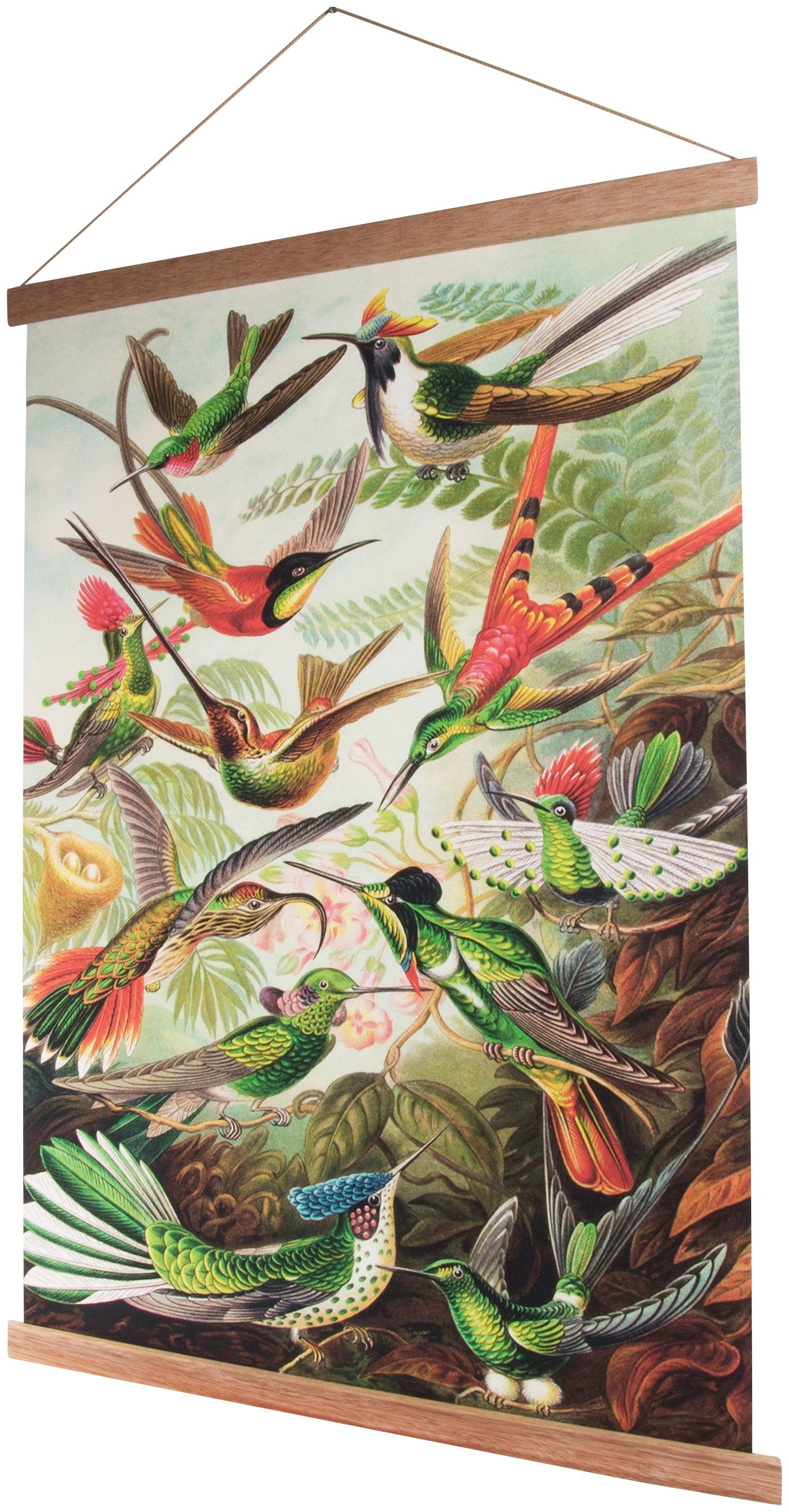 Art for the home Poster »Kolibris«, Vögel, Poster, Wandbild, Bild, Wandposter