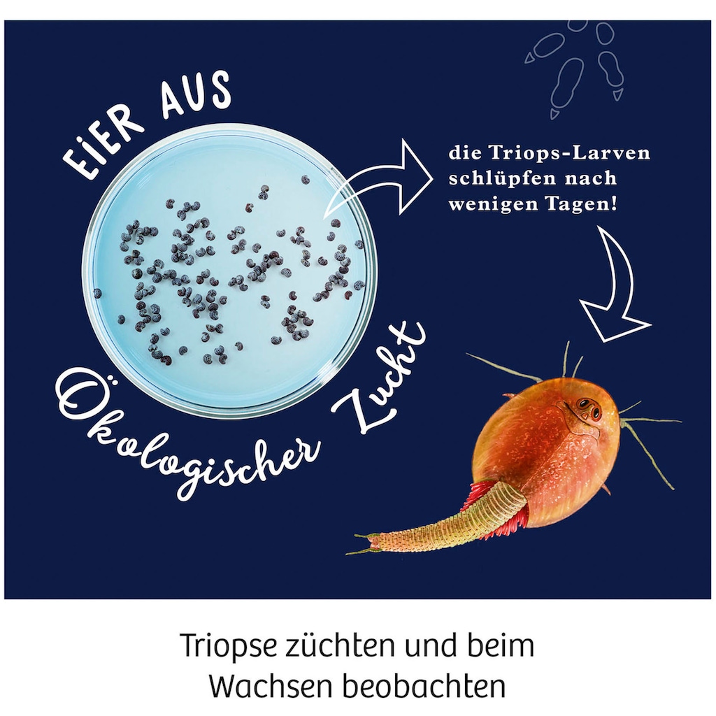 Kosmos Experimentierkasten »Fun Science Triops züchten«