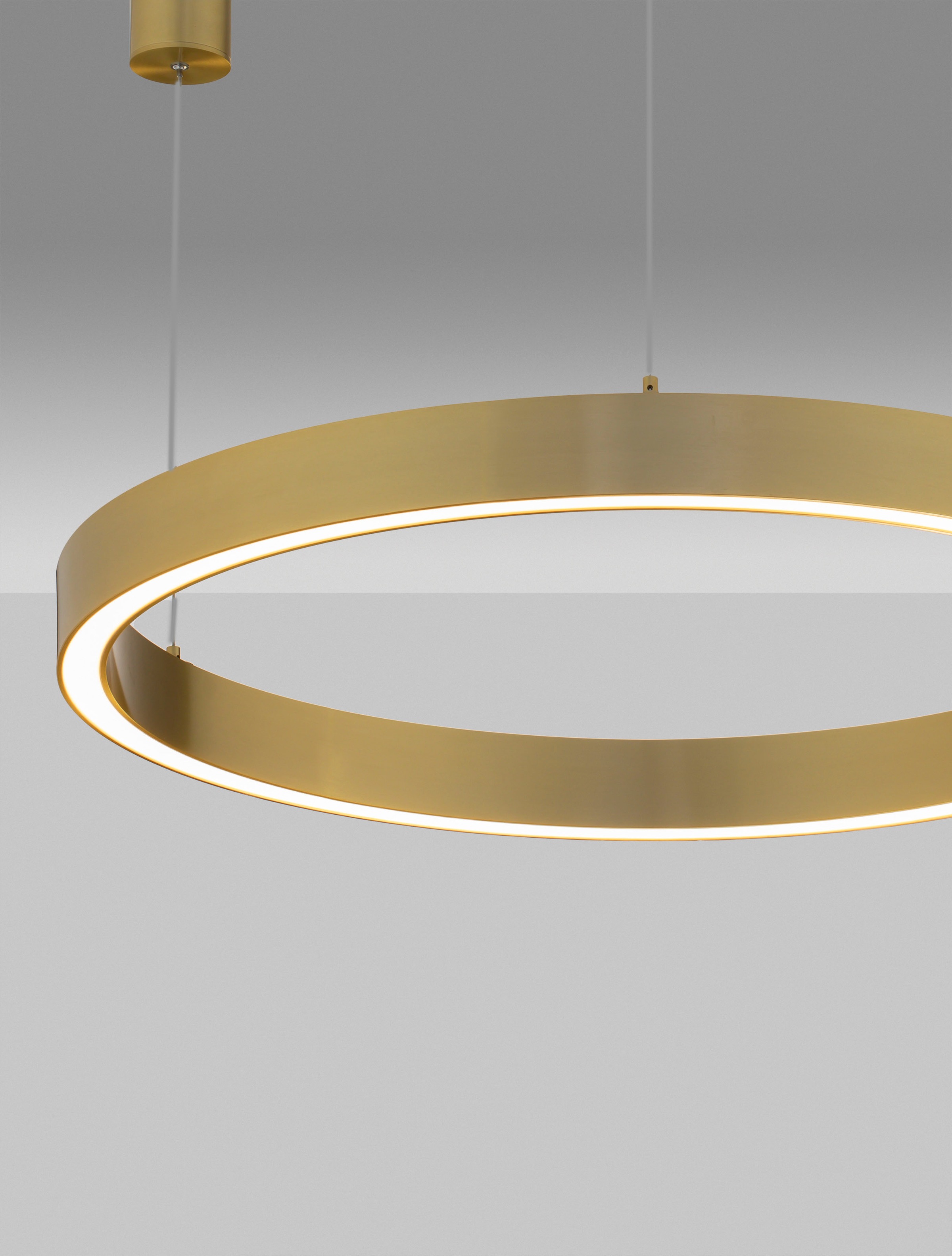 Nova Luce LED-Hängeleuchte »STING« LED-Modul 1 Stk. Warmweiß Mit Leuchtmittel; Höhenverstellbar