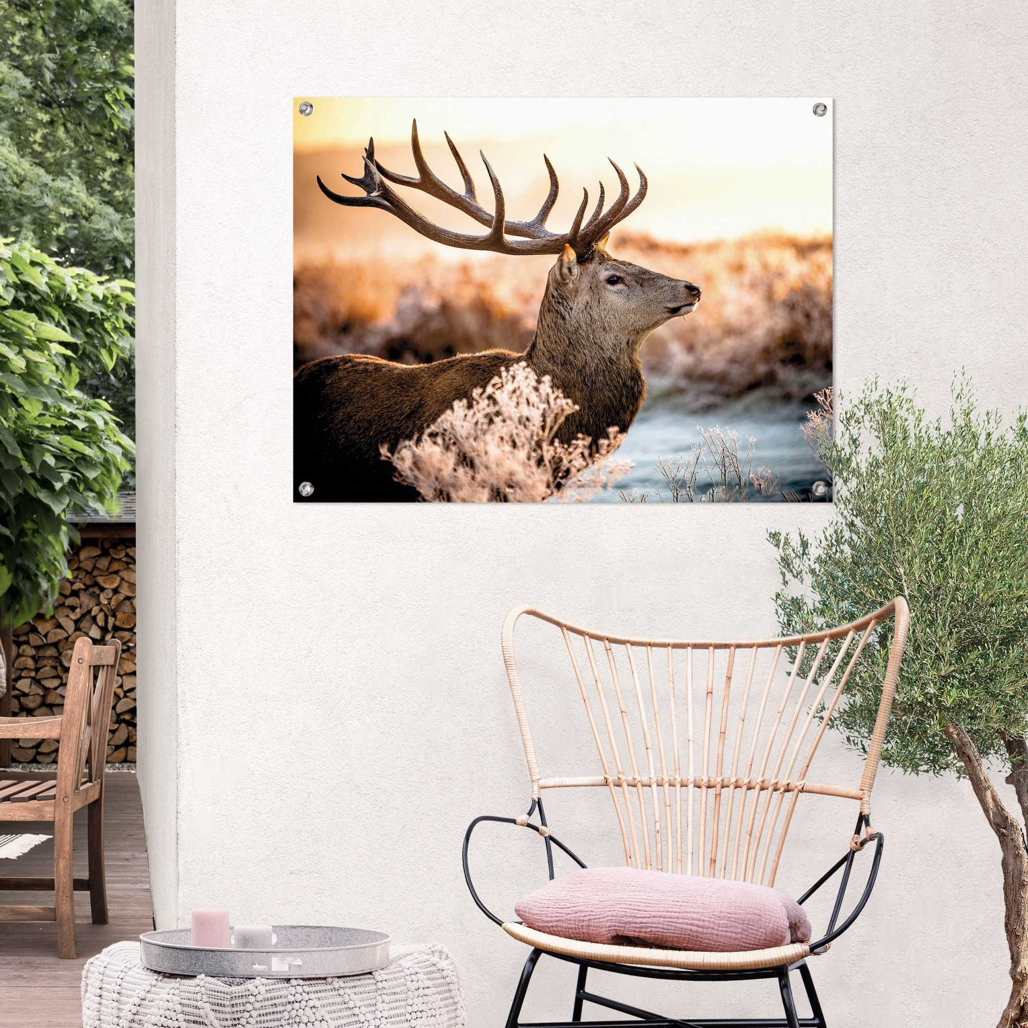 | Poster Reinders! BAUR Outdoor Balkon Garten »Hirsch«, oder für bestellen