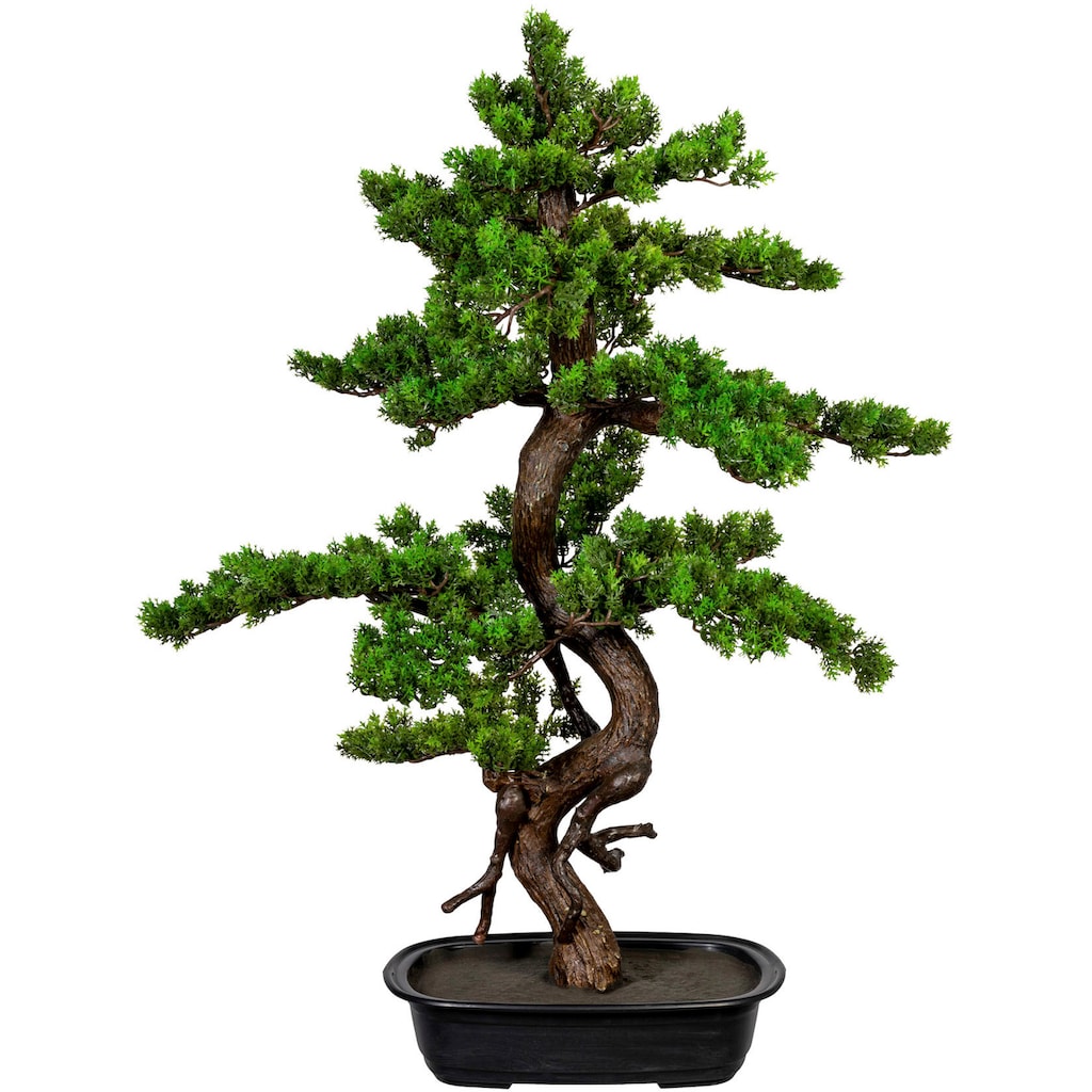 Creativ green Kunstbonsai »Bonsai«