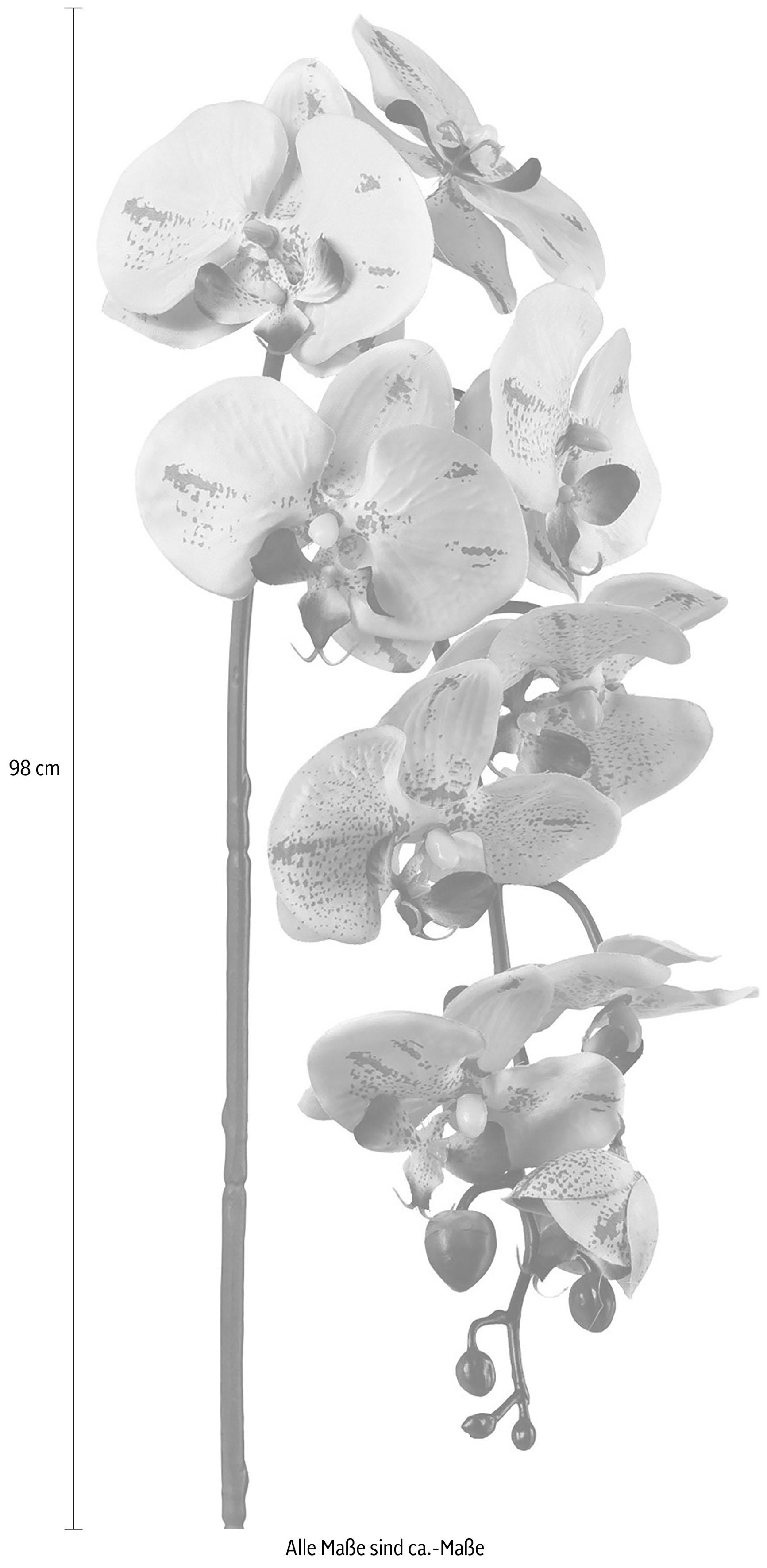 Thumbnail - Creativ green Kunstpflanze 3er Set