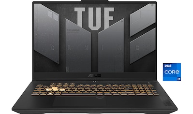 Gaming-Notebook »TUF Gaming F17 FX707VI-HX045W i7-13620H«, 43,9 cm, / 17,3 Zoll,...