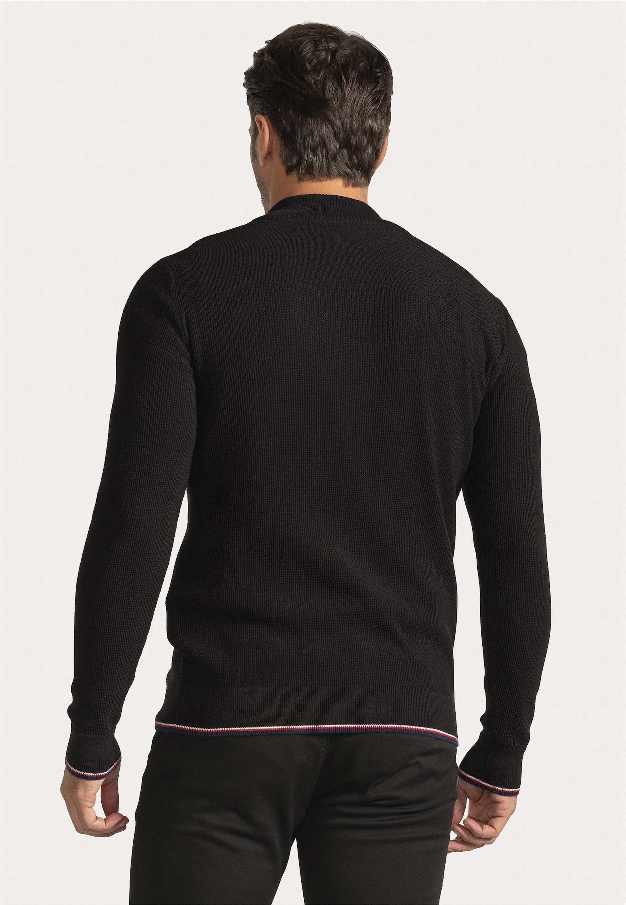SIR RAYMOND TAILOR Strickpullover »Pulses«, (1 tlg.), mit Stehkragen