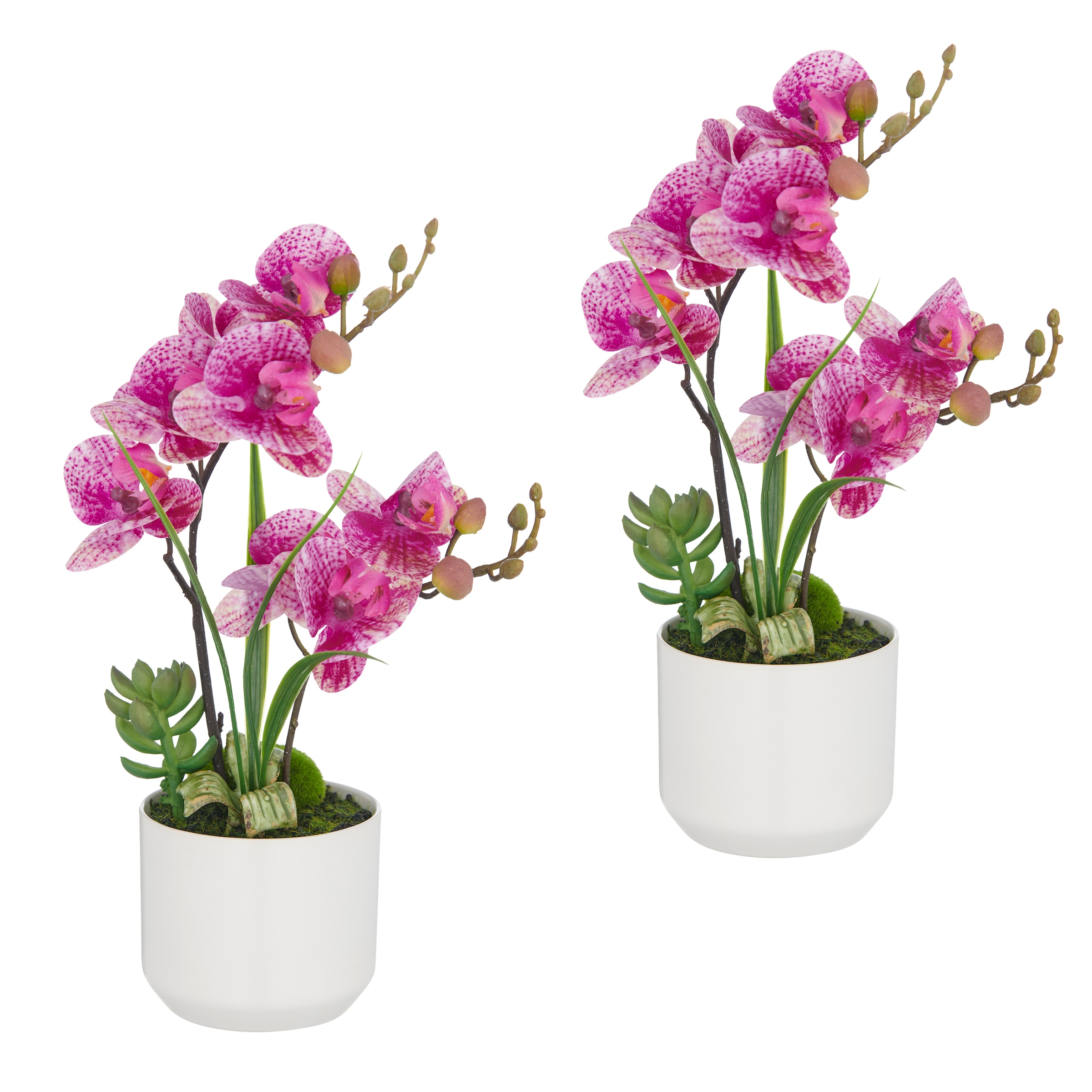 Creativ green Kunstorchidee "Orchidee Phalaenopsis", mit real-touch-Blüten günstig online kaufen