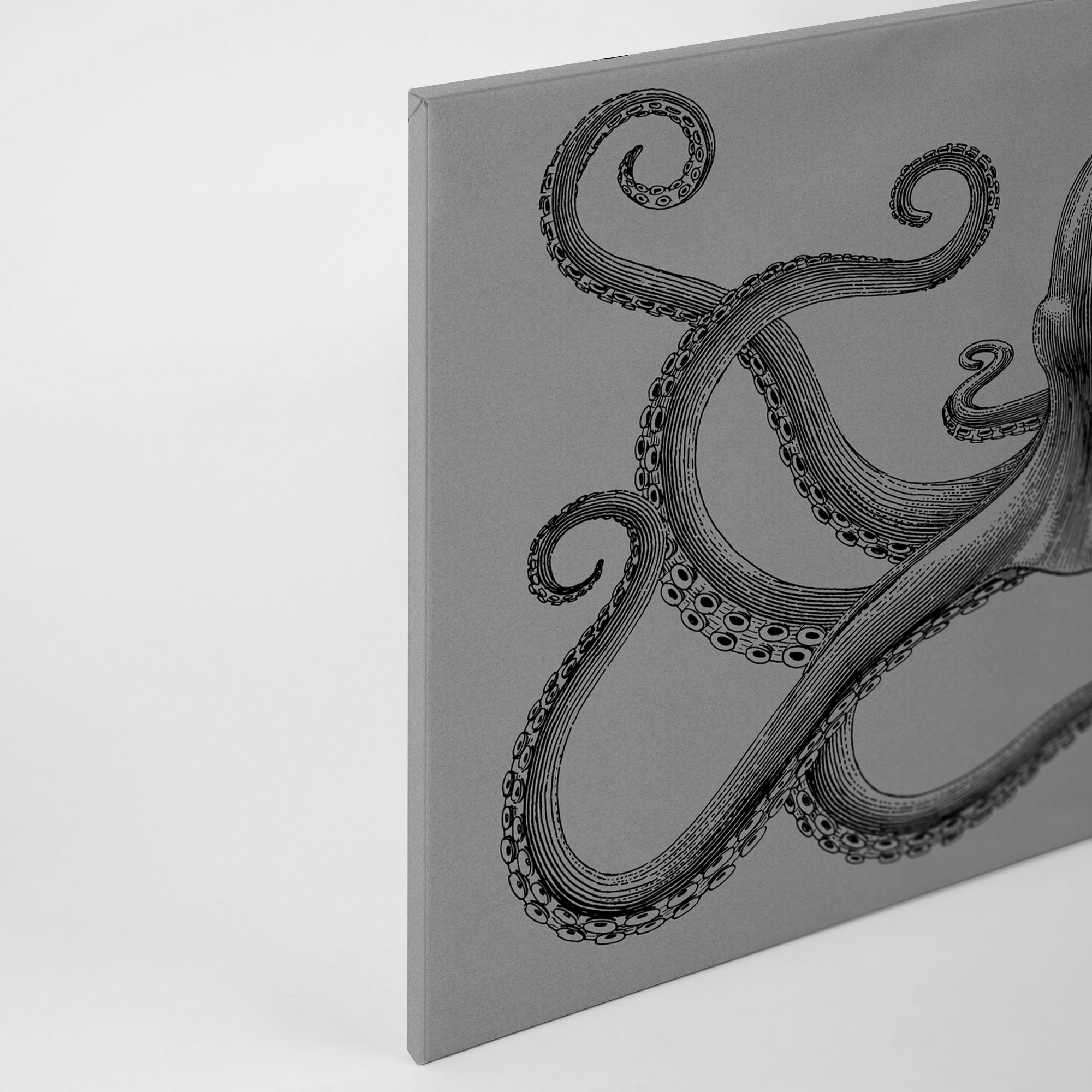 A.S. Création Leinwandbild »jules«, Kunst-Tiere-Kinder, (1 St.), Keilrahmen Bild Octopus Krake Leinwand-Bild Wohnzimmer modern Wandbild