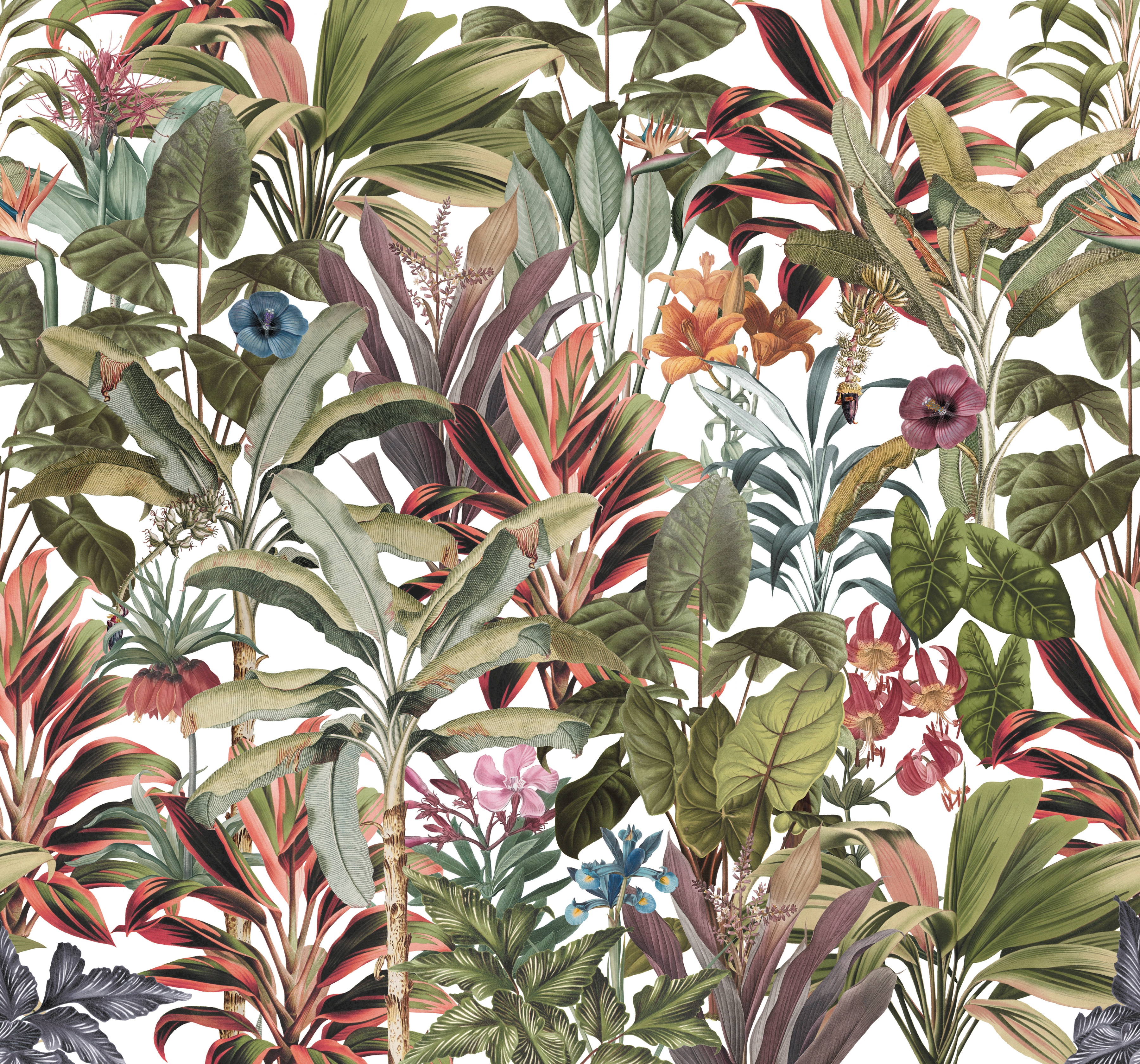 Superfresco Easy Fototapete "Leonie" botanisch glatt Bunt - 300x280cm