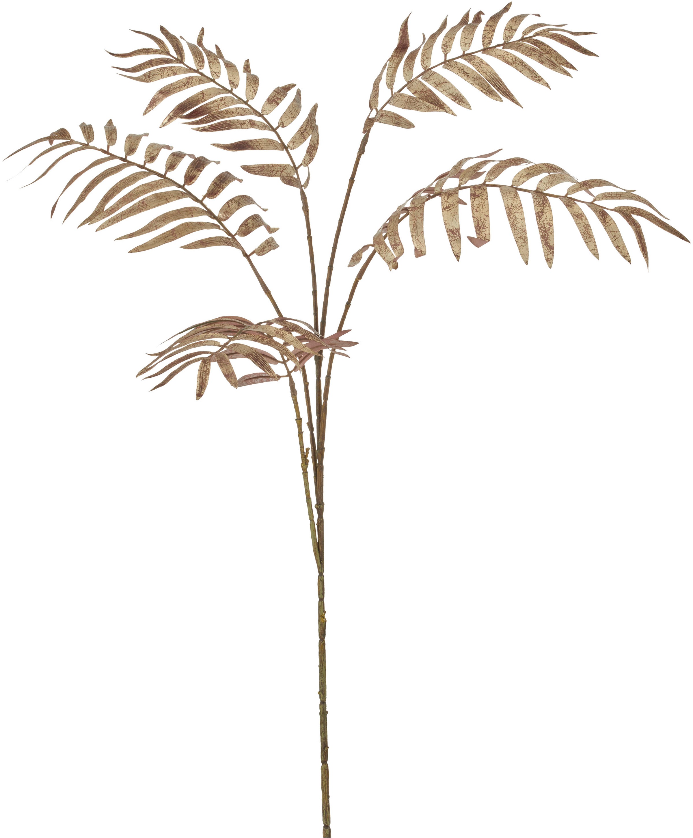 Creativ green Kunstzweig "Palmzweig" günstig online kaufen