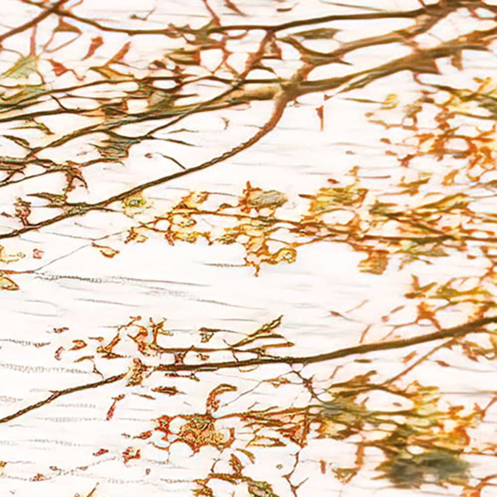 Komar Fototapete »Vlies Fototapete - Bold Birch - Größe 400 x 250 cm« Motiv | bedruckt glatt