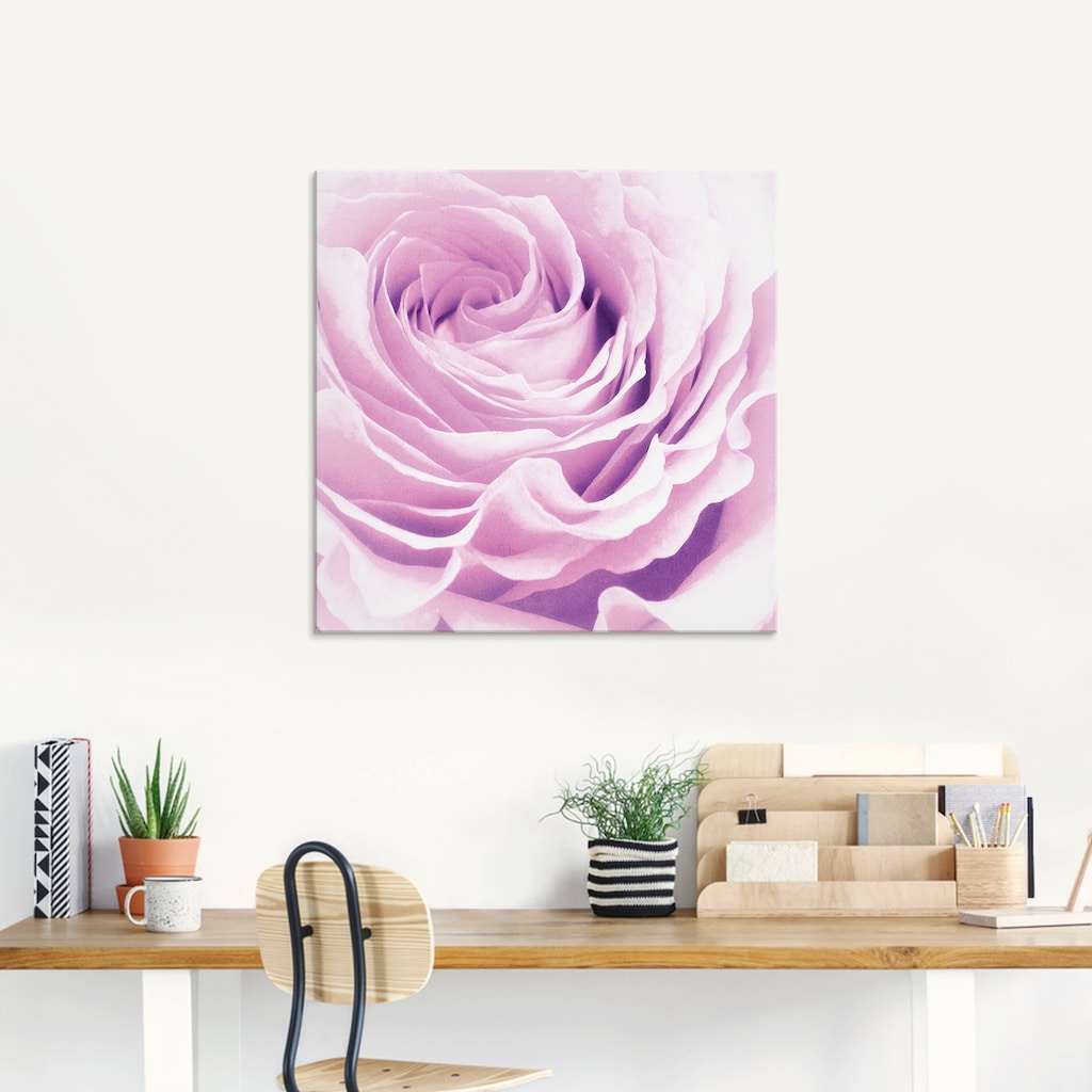 Artland Glasbild »Pastell Rose«, Blumen, (1 St.)