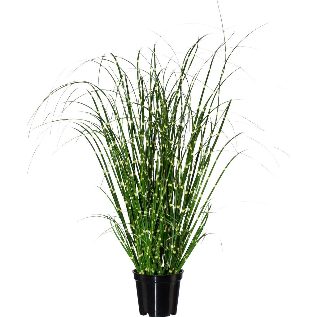 Creativ green Kunstgras »Miscanthus«