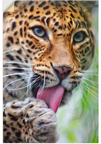 Artland Paveikslas »Leopard« Wildtiere (1 St.)...