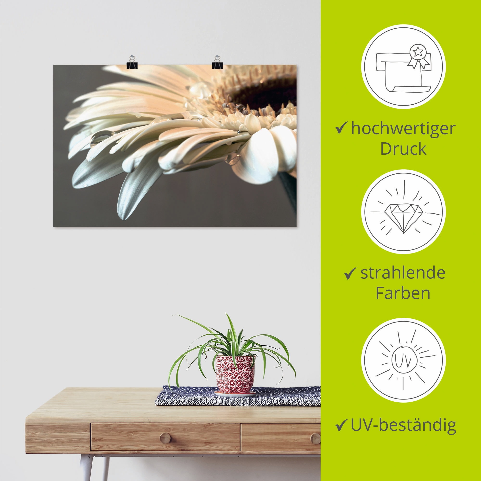 Artland Wandbild »Blüte einer Gerbera«, Blumen, (1 St.), als Leinwandbild, Poster, Wandaufkleber in verschied. Größen