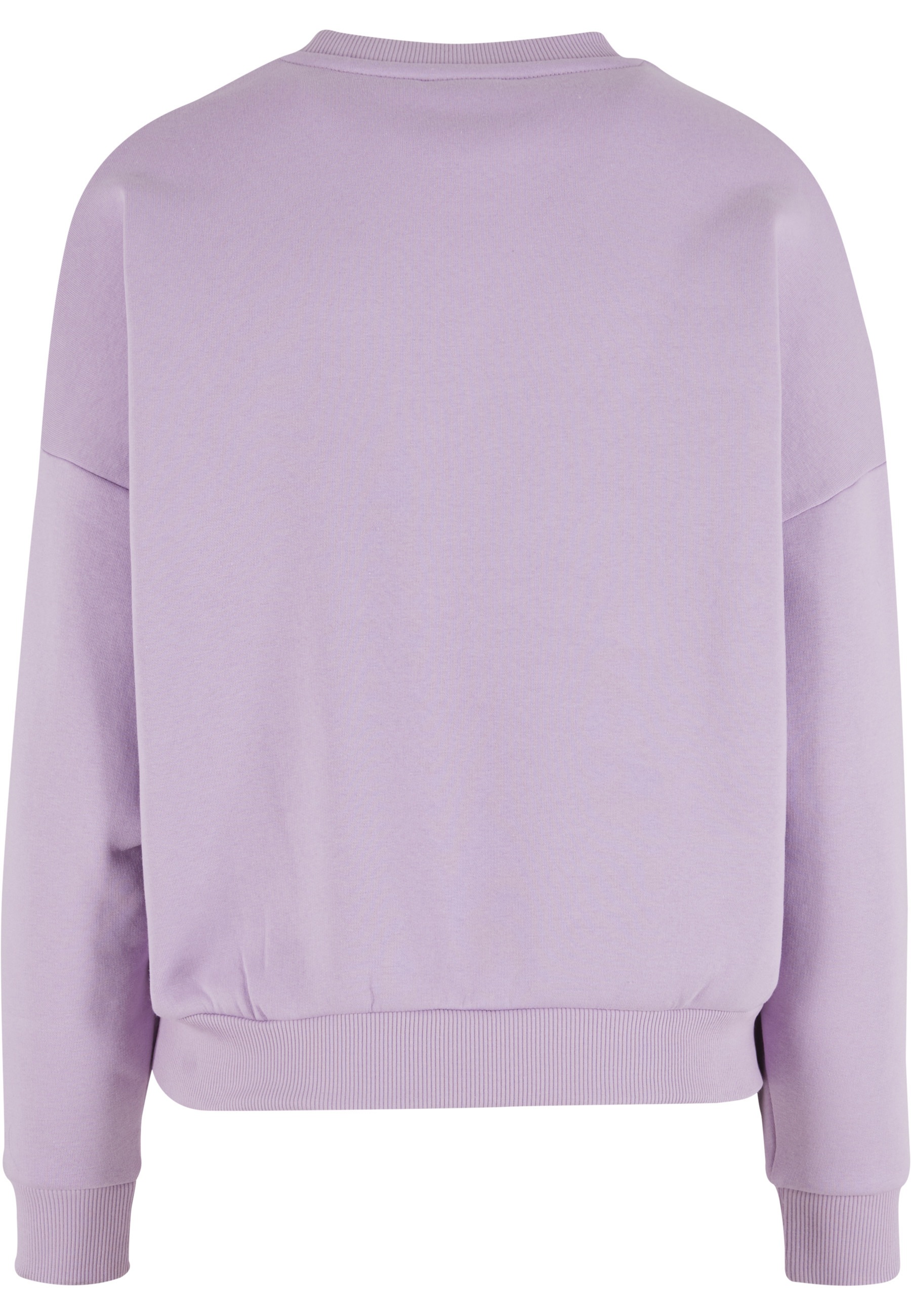 Karl Kani Sweater »Karl Kani Varsity Palm Crewneck«
