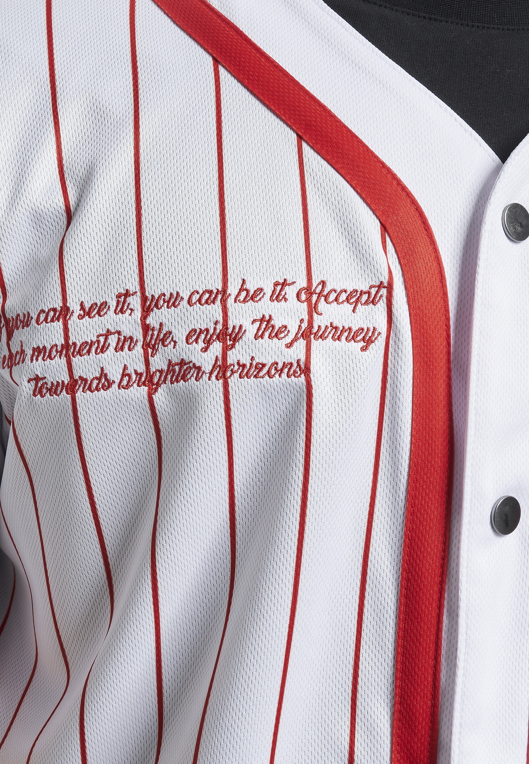 Karl Kani T-Shirt »Karl Kani Herren« 1 Stk.