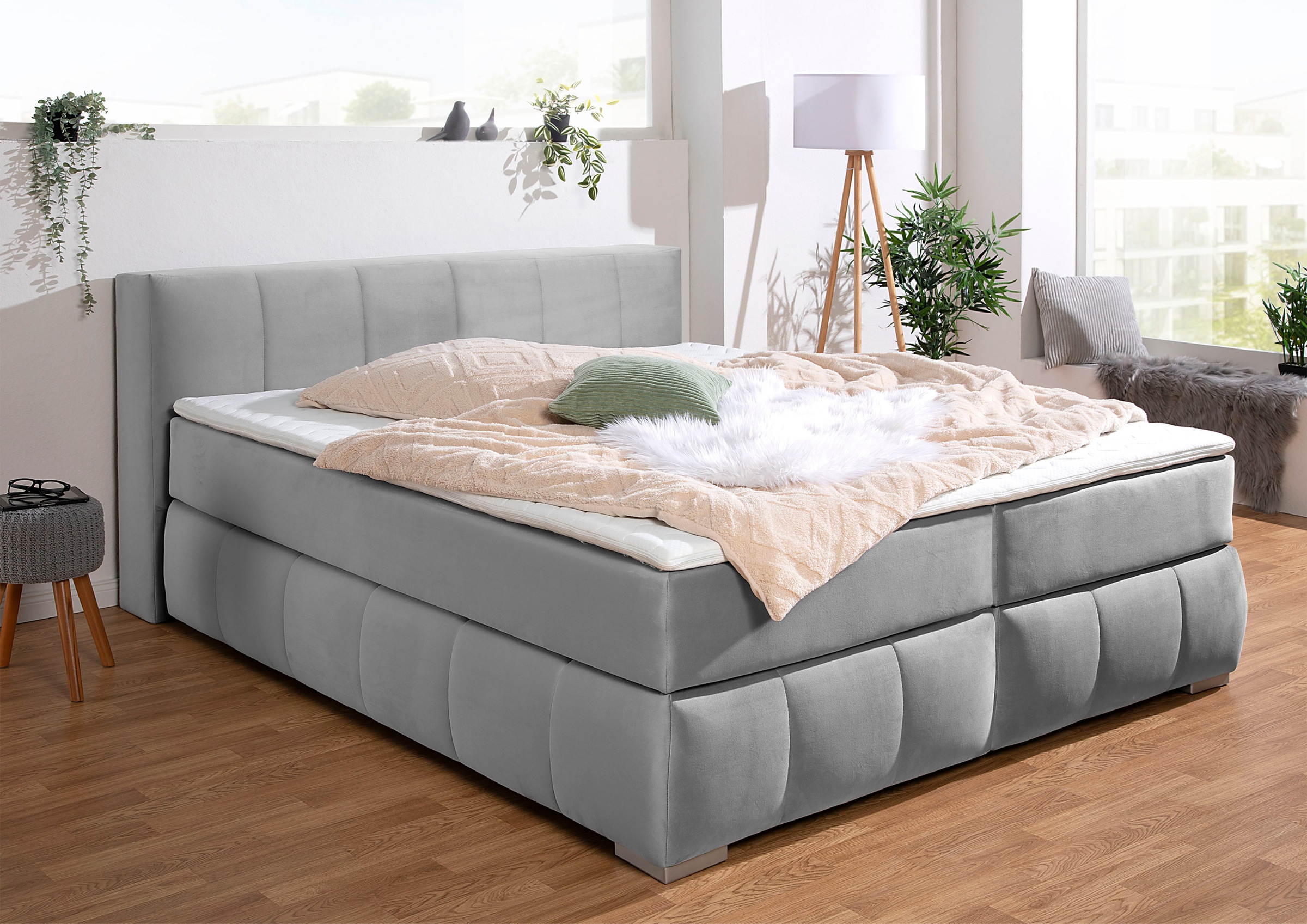 Boxspringbett HOME AFFAIRE "Chelles", silber, B:167cm L:225cm, Samtoptik (100% Polyester);Bezug der Spiegelfläche Matratzendrell aus 100% Polyester;Struktur fein 100% Polyester), Komplettbetten, Boxspringbett, inkl. Kaltschaumtopper, in 5 Breiten und 3 Ma 6