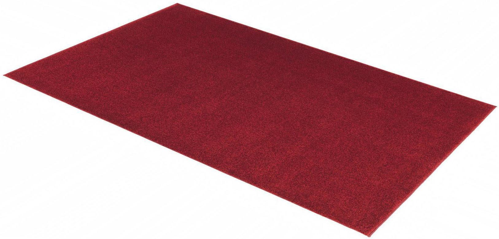 ASTRA 1100000002199 "Samoa Uni" rechteckig 20 mm Höhe hochwertiger Kurzflor in vielen Farben, Wohnzimmer