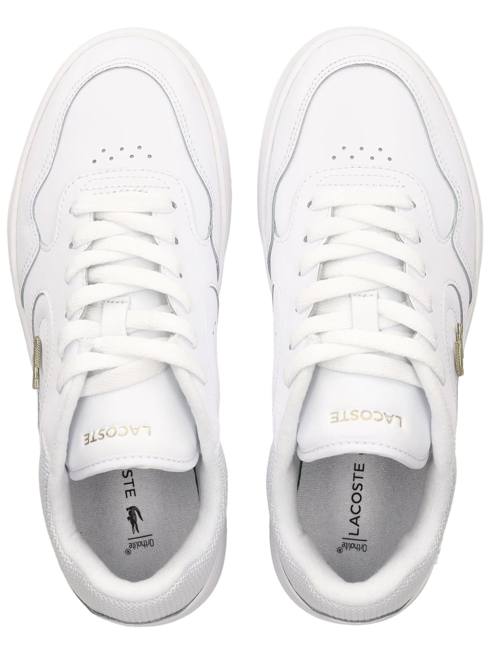 Lacoste Sneaker »lacoste Sneaker Leder/Textil«