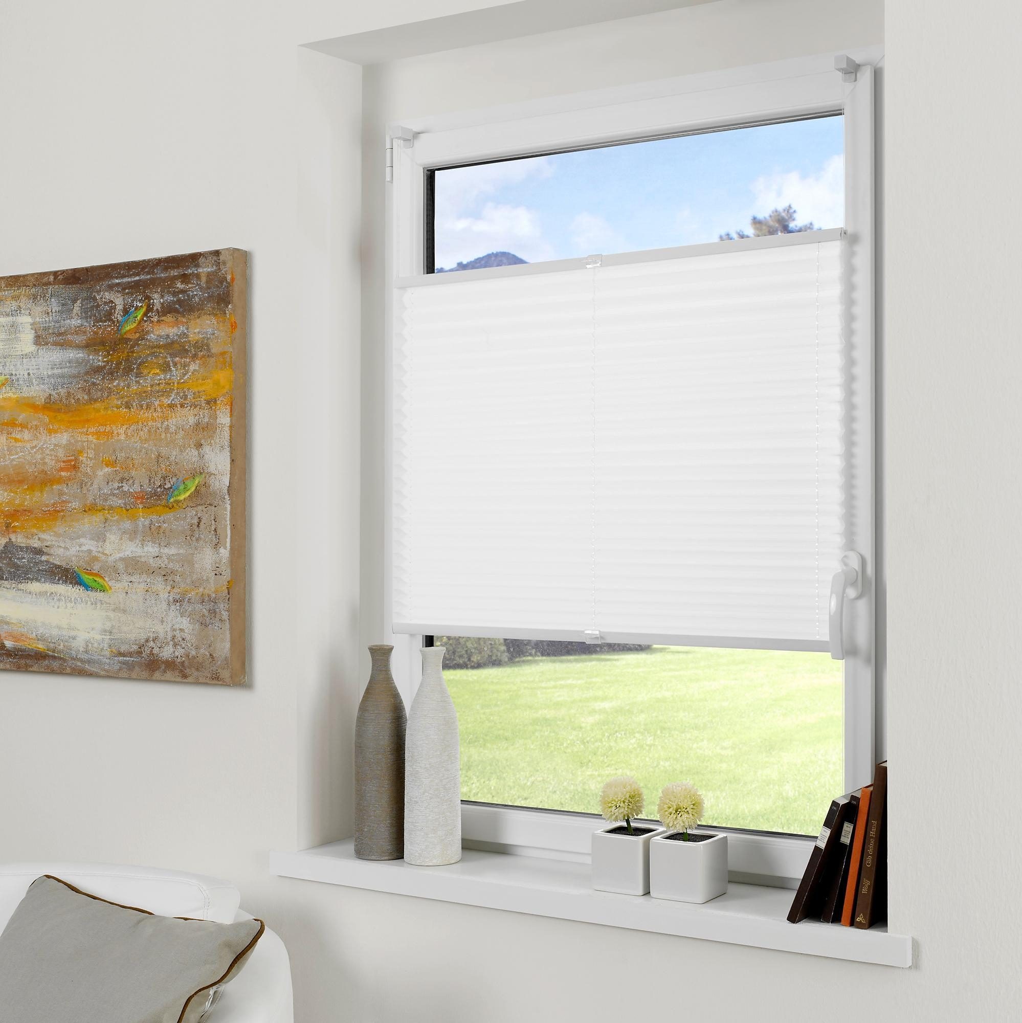Good Life Plissee "Ada" Lichtschutz ohne Bohren verspannt Lichtschutz günstig online kaufen