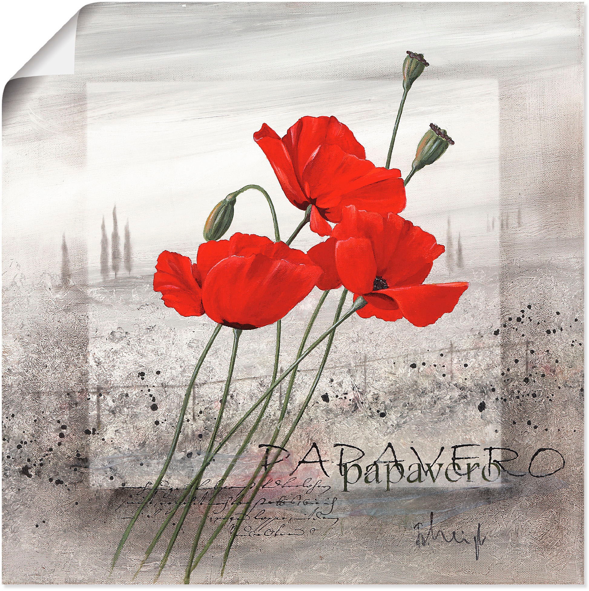 Artland Wandbild »Mohnblumen«, Blumen, (1 St.), als Leinwandbild, Poster, Wandaufkleber in verschied. Größen