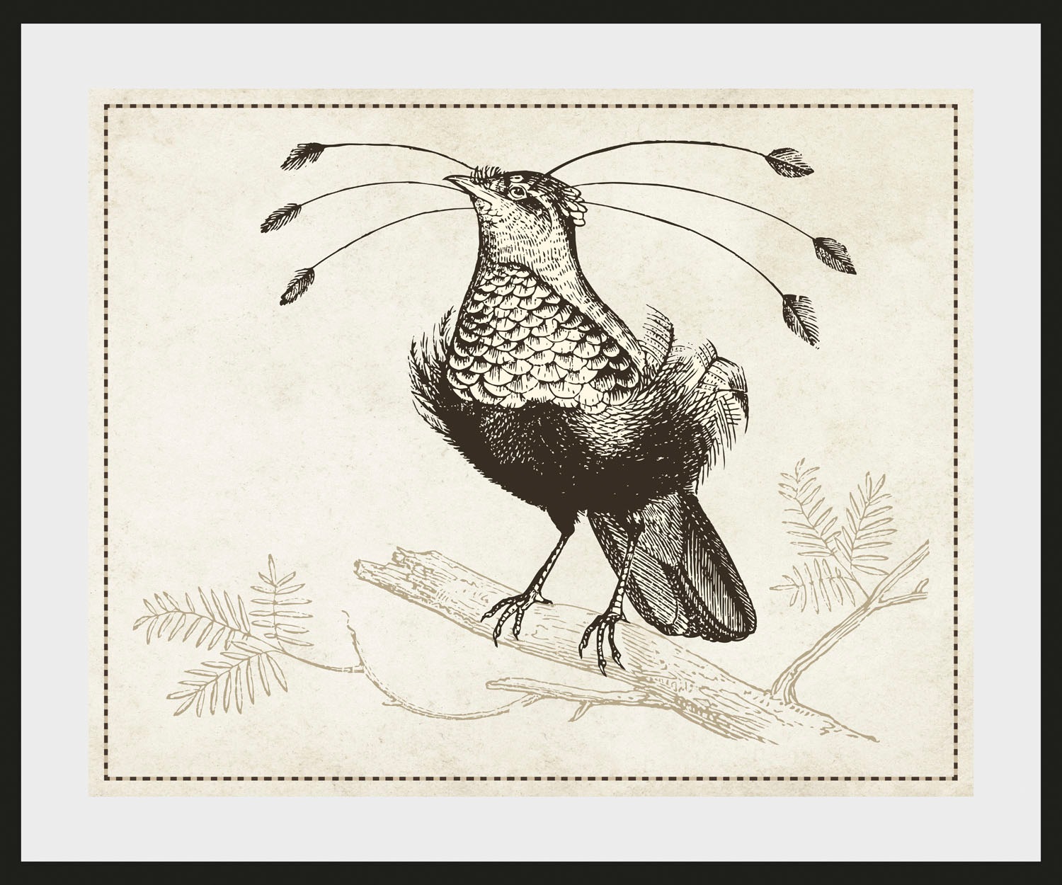 queence Bild "Ann-Sophie", Vögel-Vogelbilder-historische Ereignisse-Kunst, günstig online kaufen