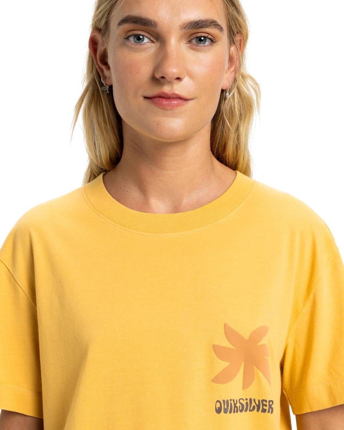 Quiksilver T-Shirt »Standard«