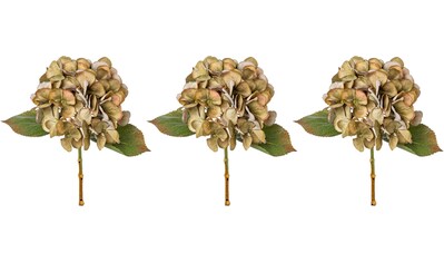 Creativ green Kunstblume »Mohn«, (3 St.), mit dekorativer Blüte kaufen