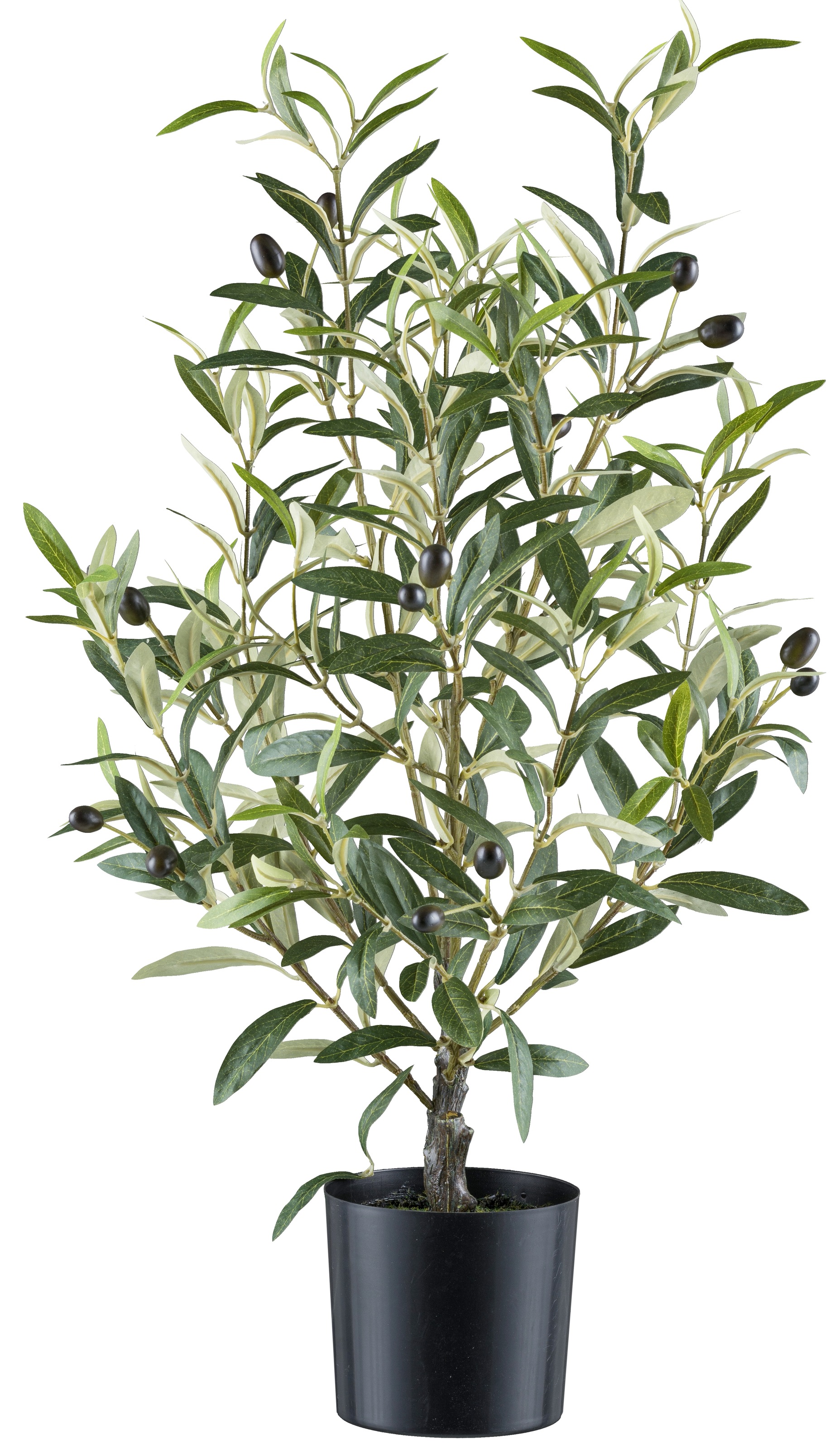 Creativ green Kunstpflanze "Olive", mit detailgetreuer Gestaltung günstig online kaufen