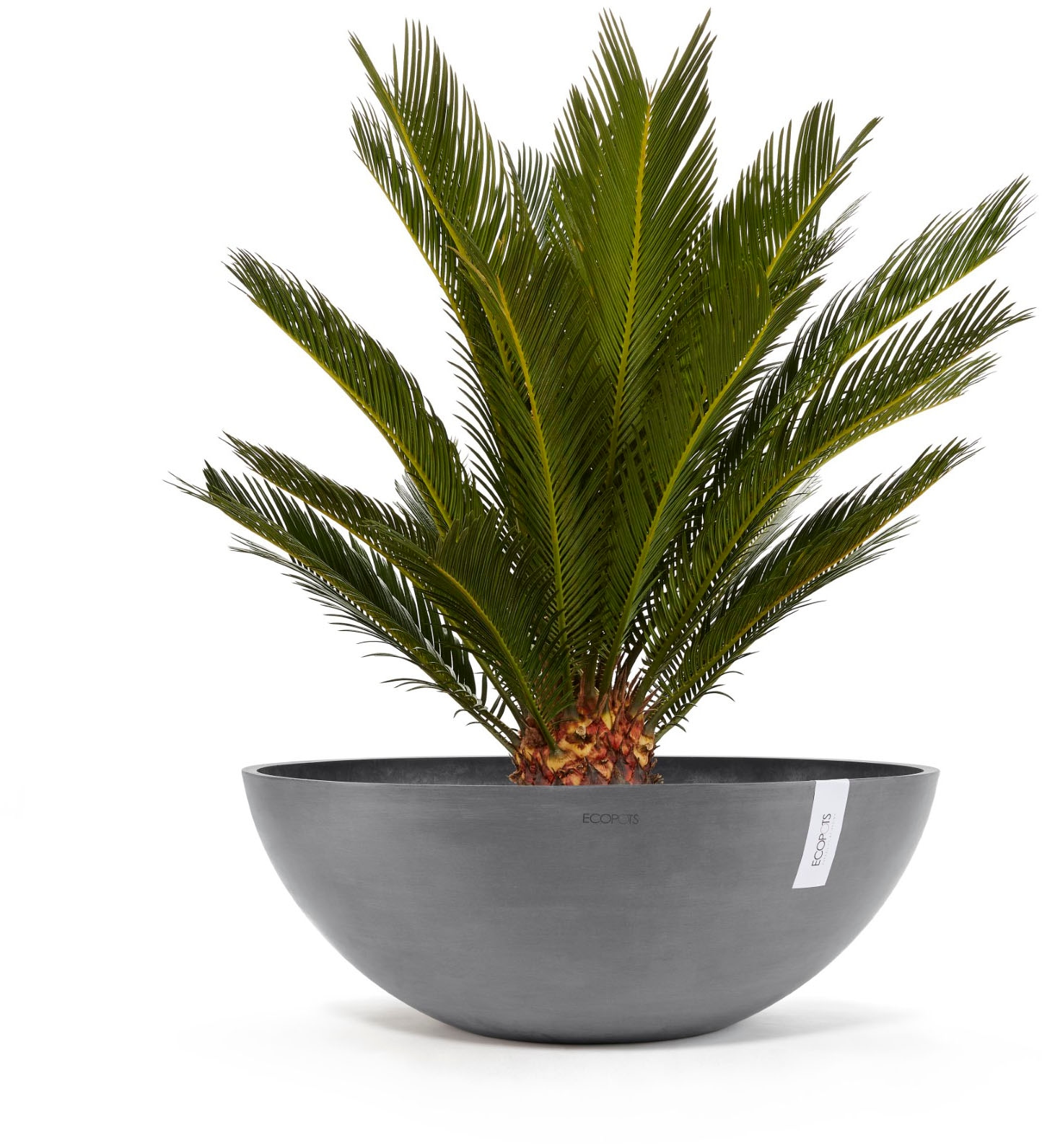 ECOPOTS Blumentopf »VIENNA Grey« BxTxH: 70x70x25,5 cm