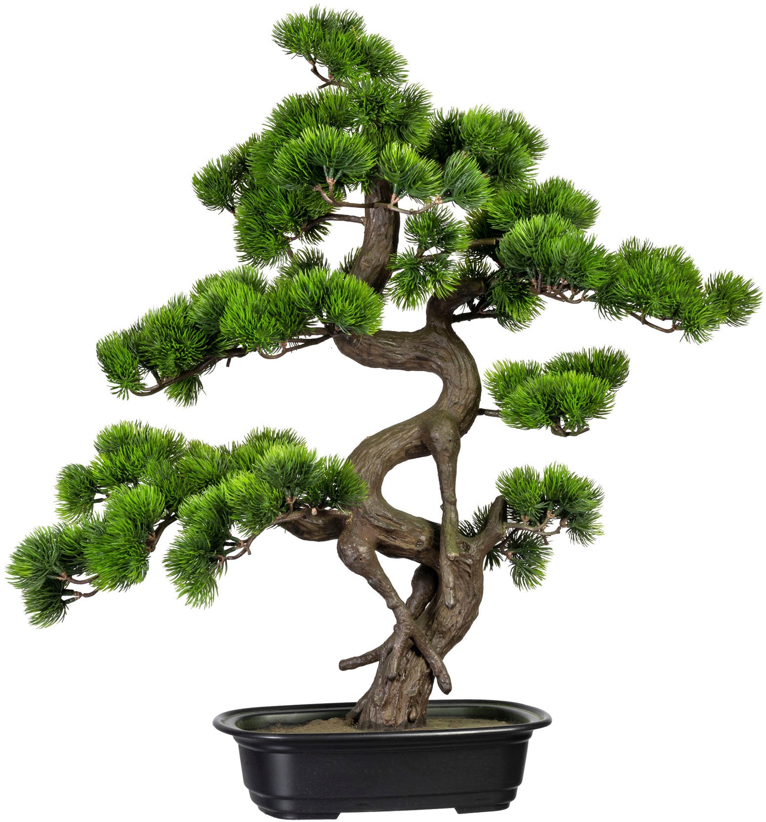 Creativ green Kunstbonsai »Bonsai Kiefer«