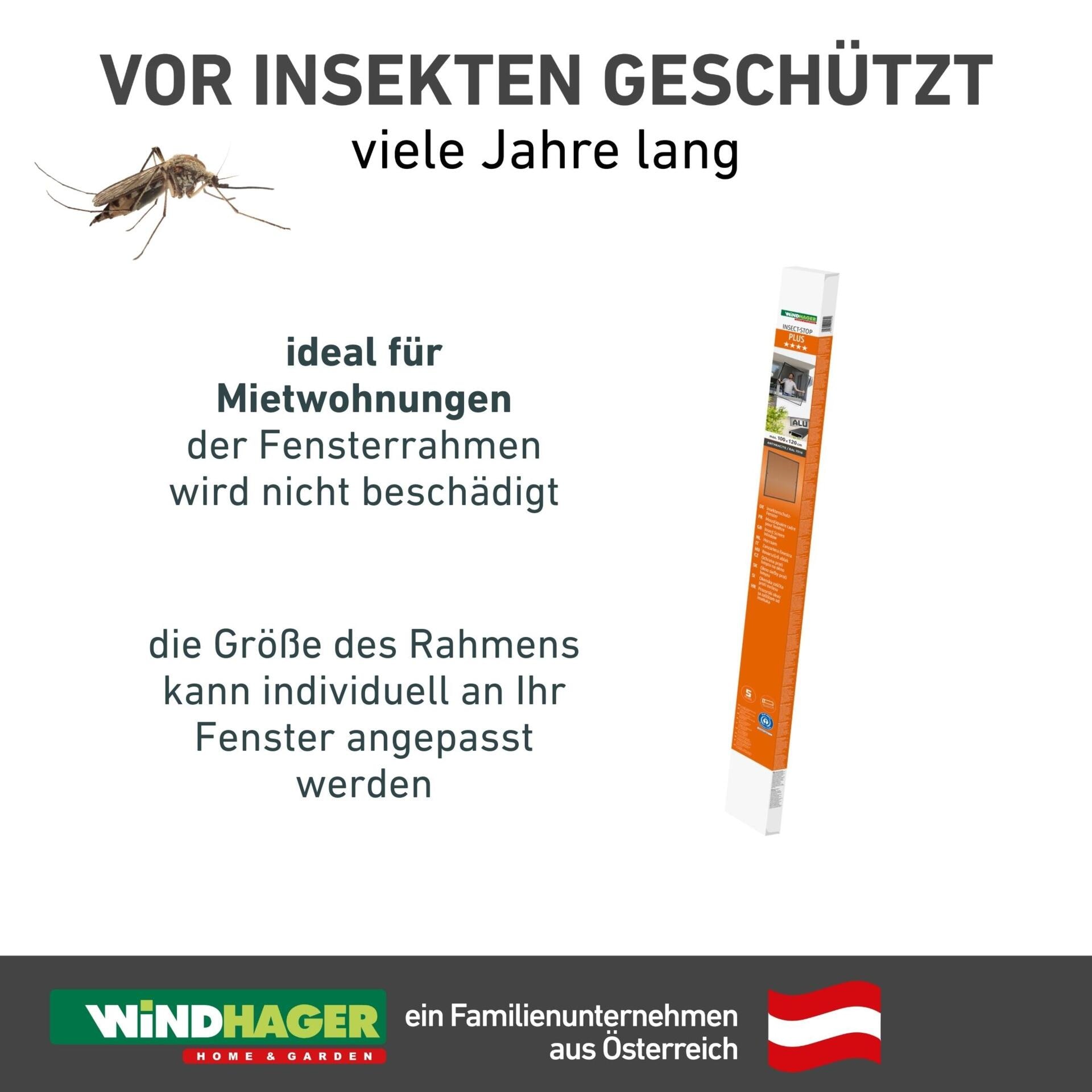 Windhager Insektenschutz-Fensterrahmen »Plus, aus Fiberglasgewebe mit Alurahmen, Fliegengitter Rahmenfenster« Fliegengitter in weiß, anthrazit erhältlich, 130x150cm, ohne bohren