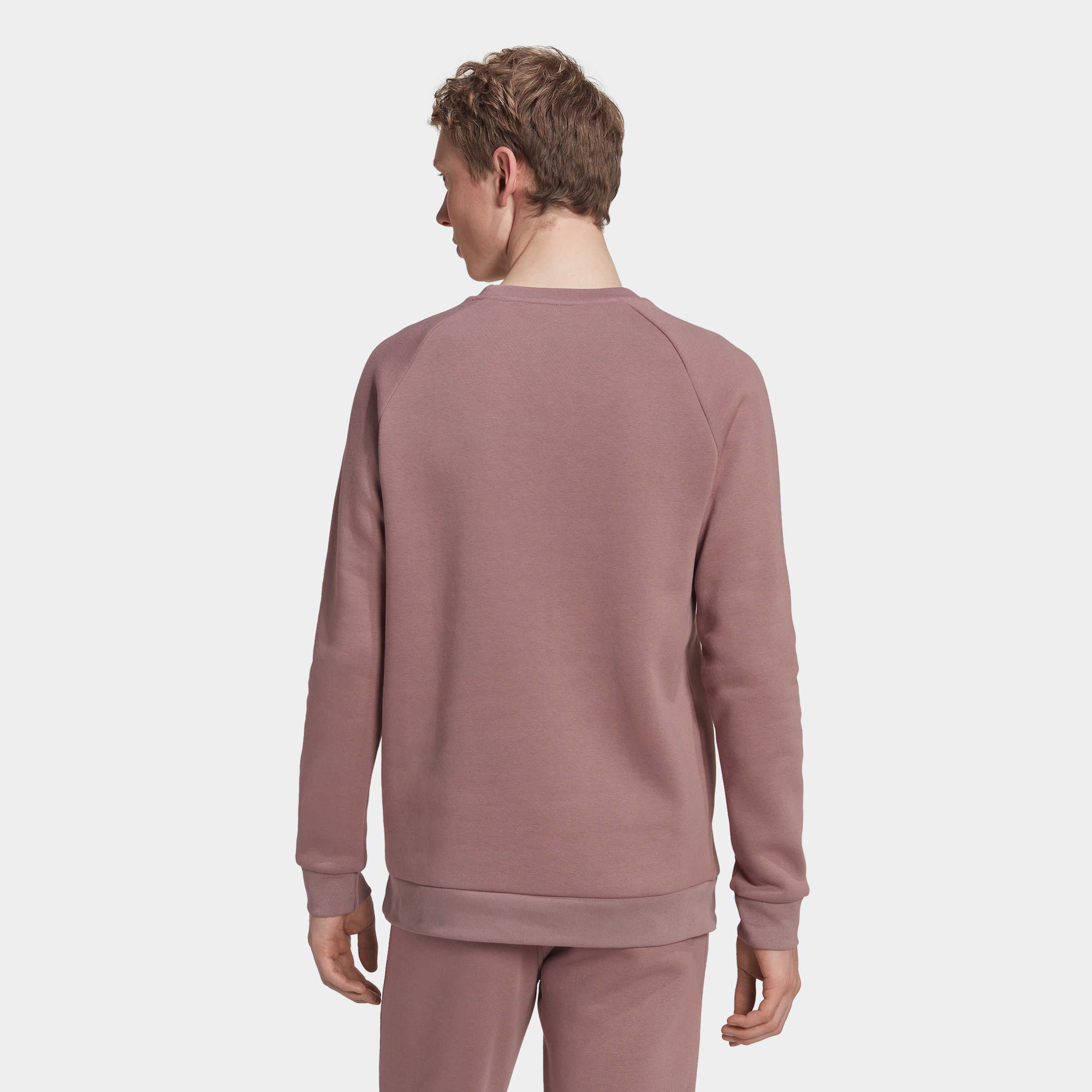 adidas Originals Sweatshirt TREFOIL« ESSENTIALS BAUR ▷ »ADICOLOR bestellen 