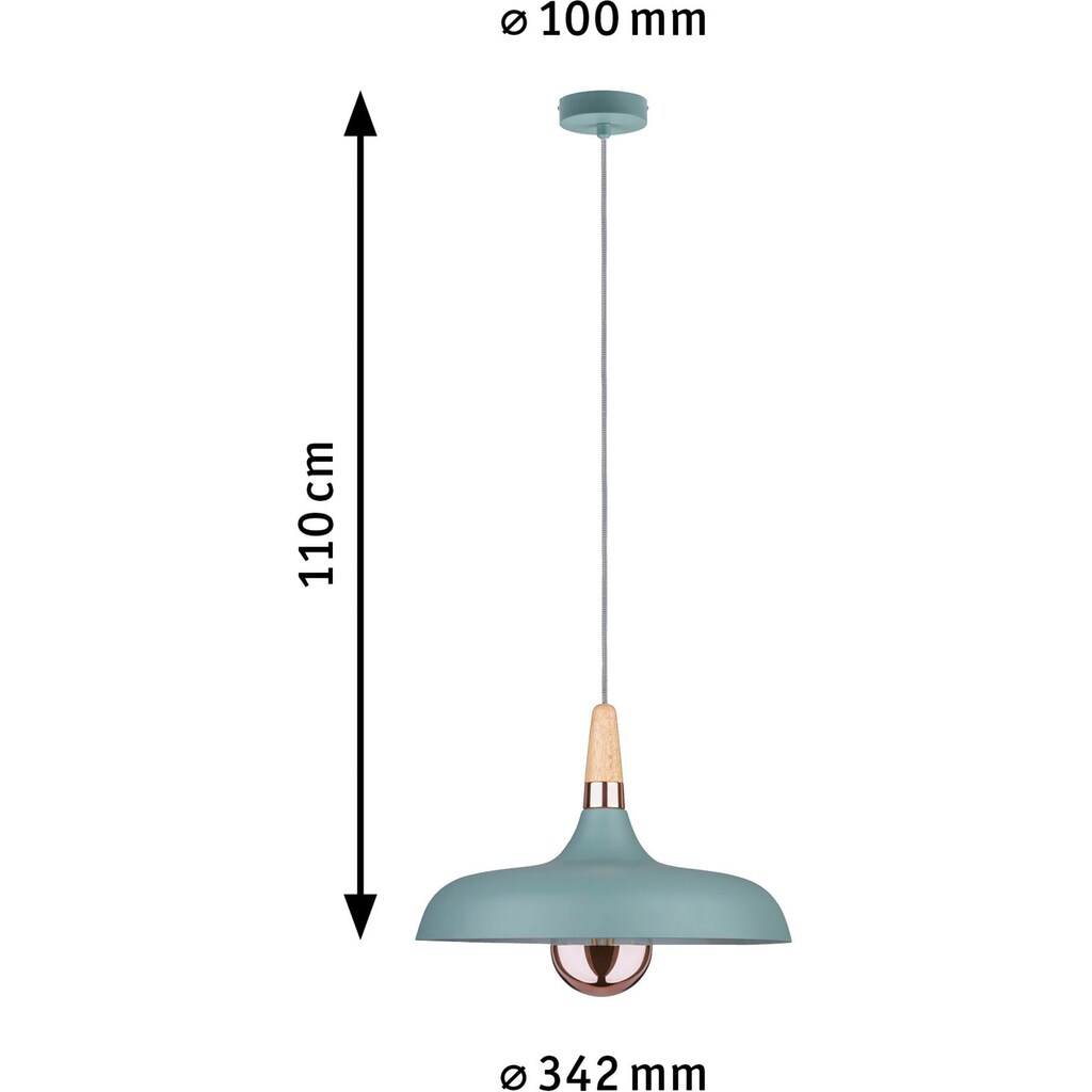 Paulmann LED Pendelleuchte »Juna«, 1 flammig-flammig