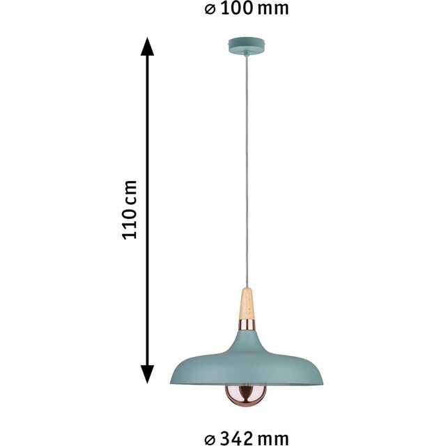 Paulmann LED Pendelleuchte »Juna«, 1 flammig-flammig, E27 | BAUR