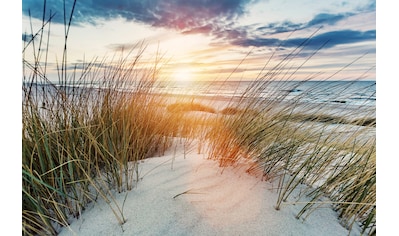 Fototapete »Dünen bei Sonnenuntergang«