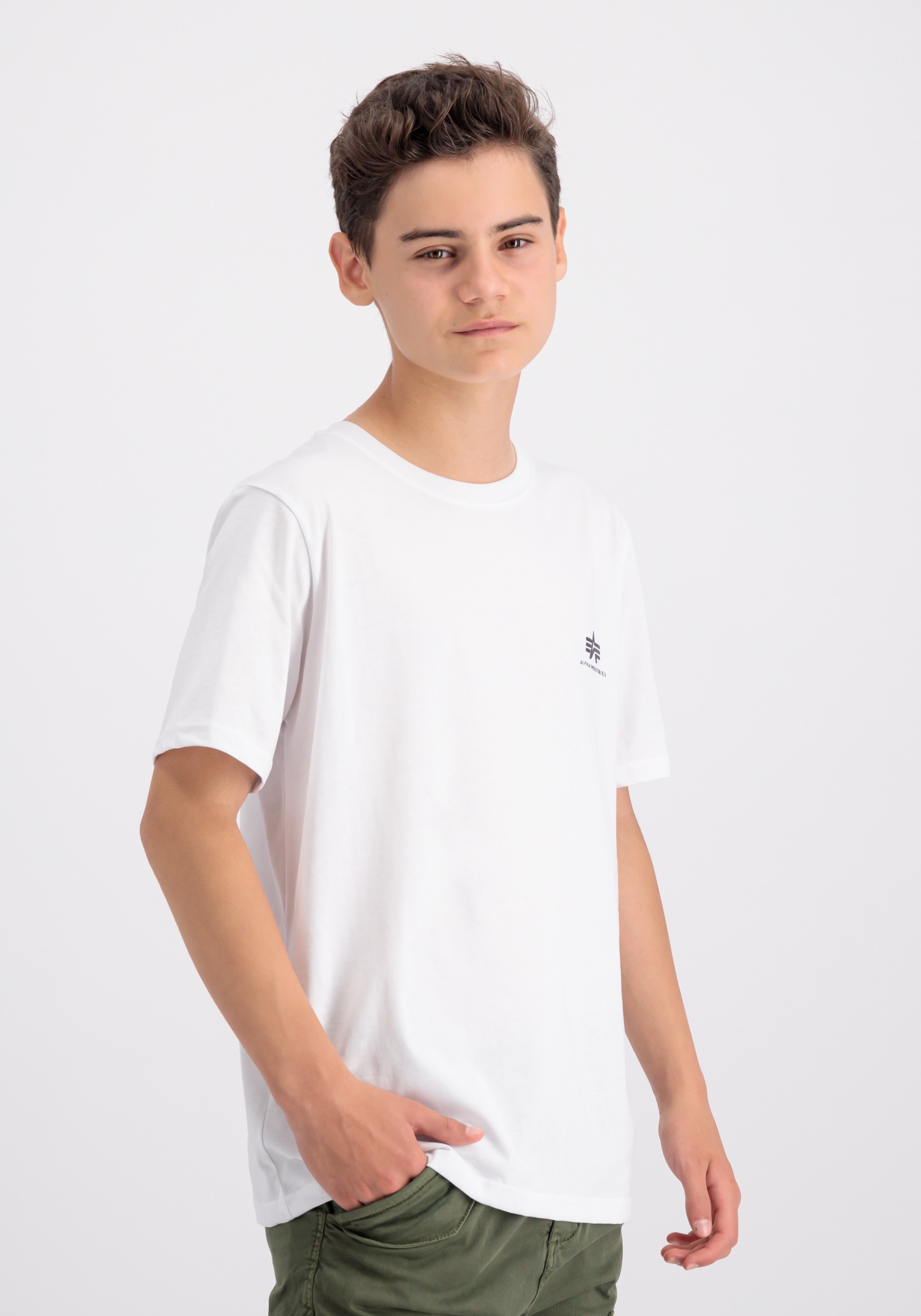 Alpha Industries T-Shirt "Basic T-Shirt SL K"
