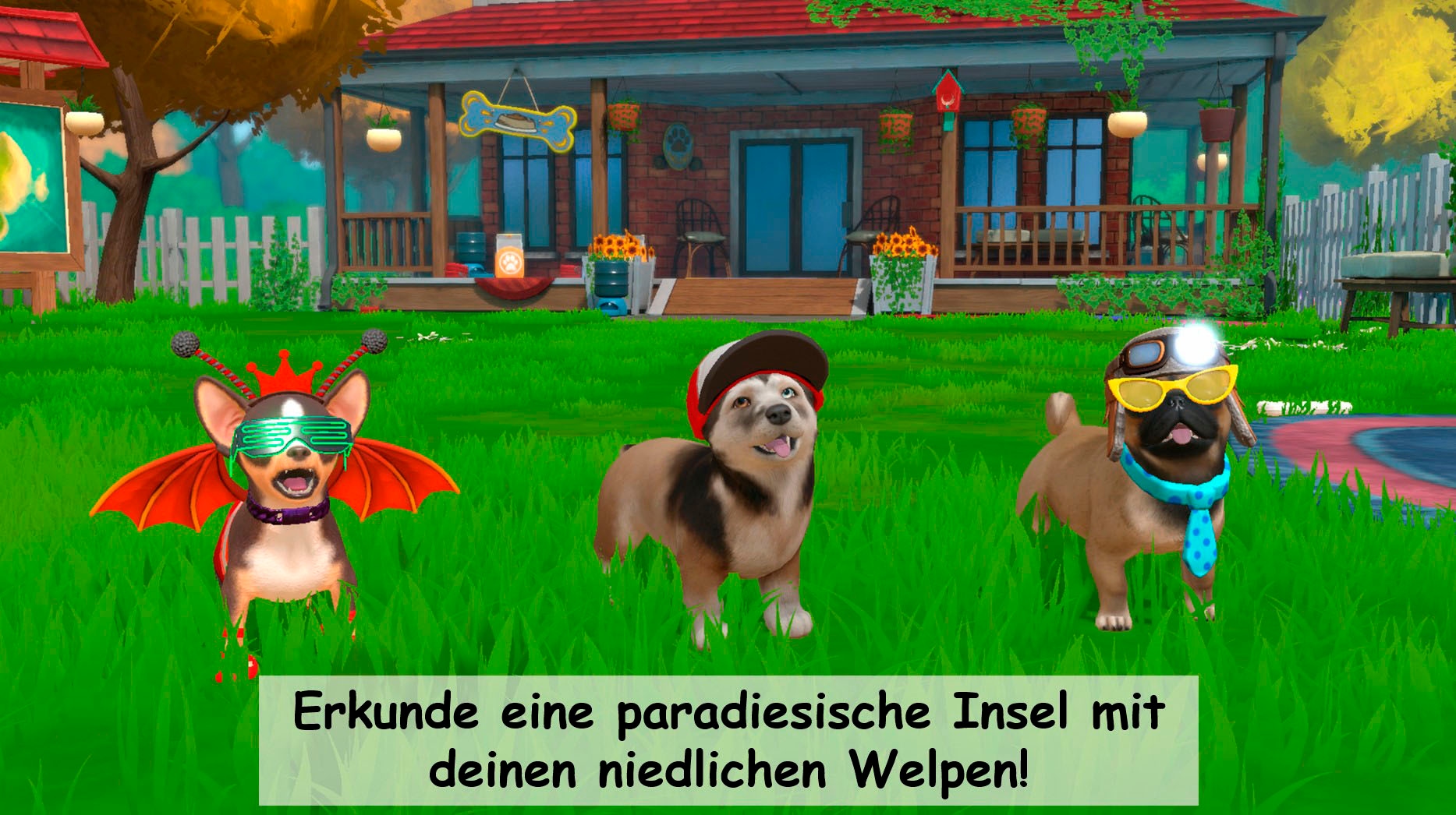 NBG Spielesoftware »Little Friends 2 Puppy Island (Code in a Box) - Nintendo Switch«, Nintendo Switch
