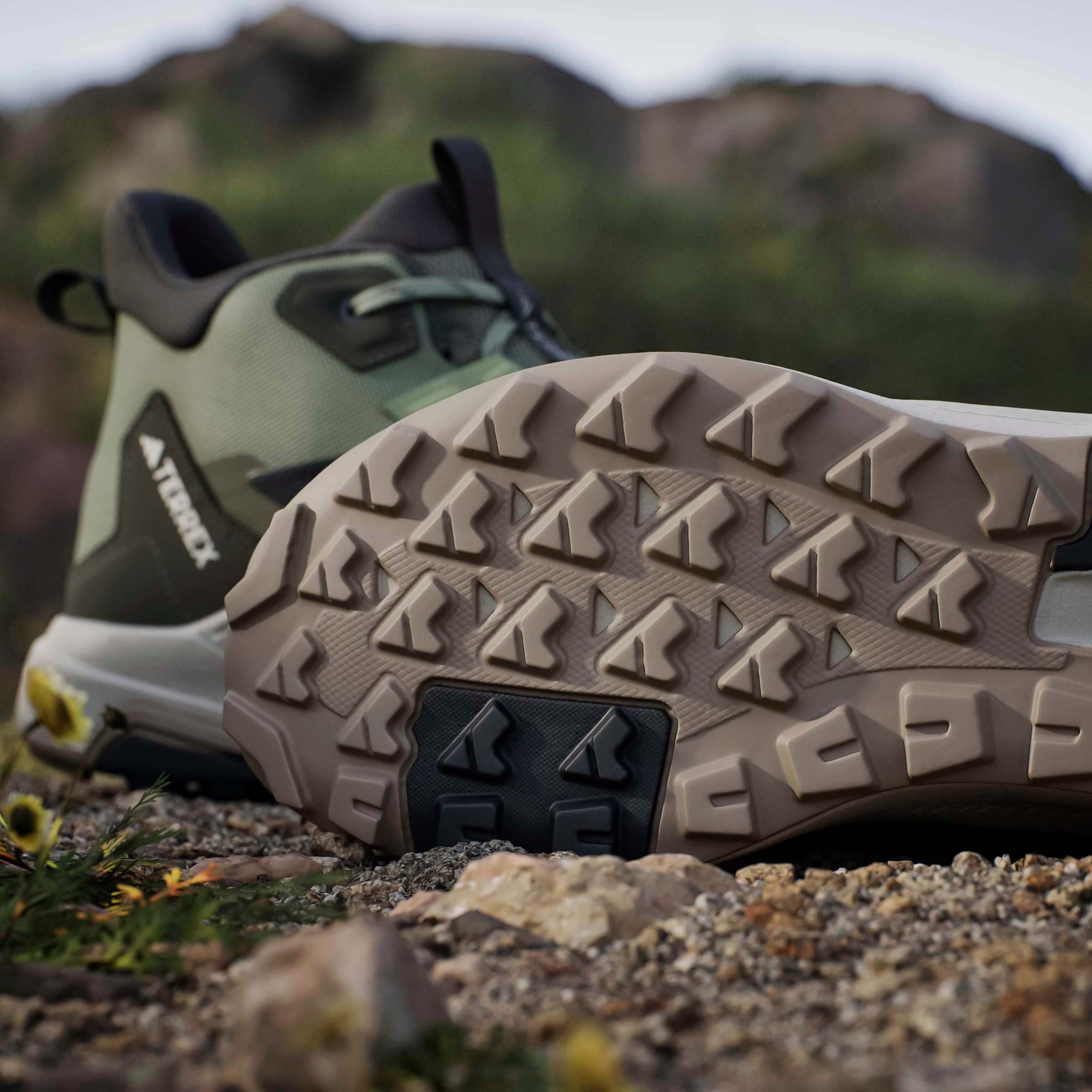 adidas TERREX Wanderschuh »TERREX ANYLANDER MID«