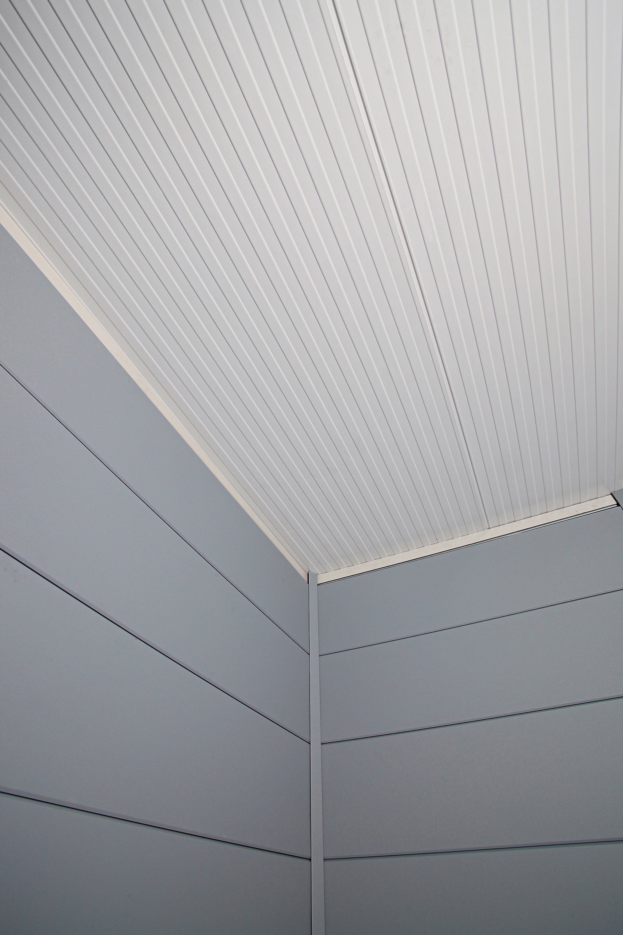 Wolff Gerätehaus »Eleganto 3024«, Metall