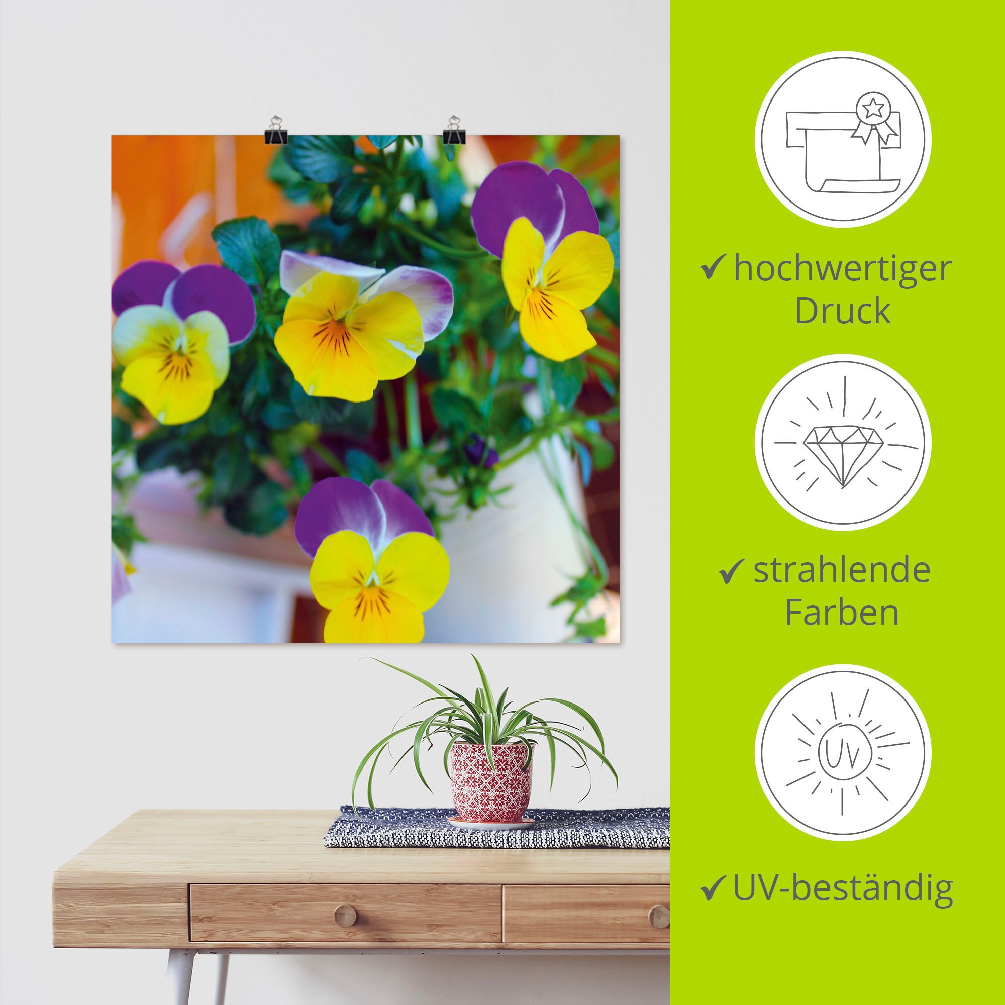 Artland Wandbild »Hornveilchen«, Blumenbilder, (1 St.), als Alubild, Leinwandbild, Wandaufkleber oder Poster in versch. Größen