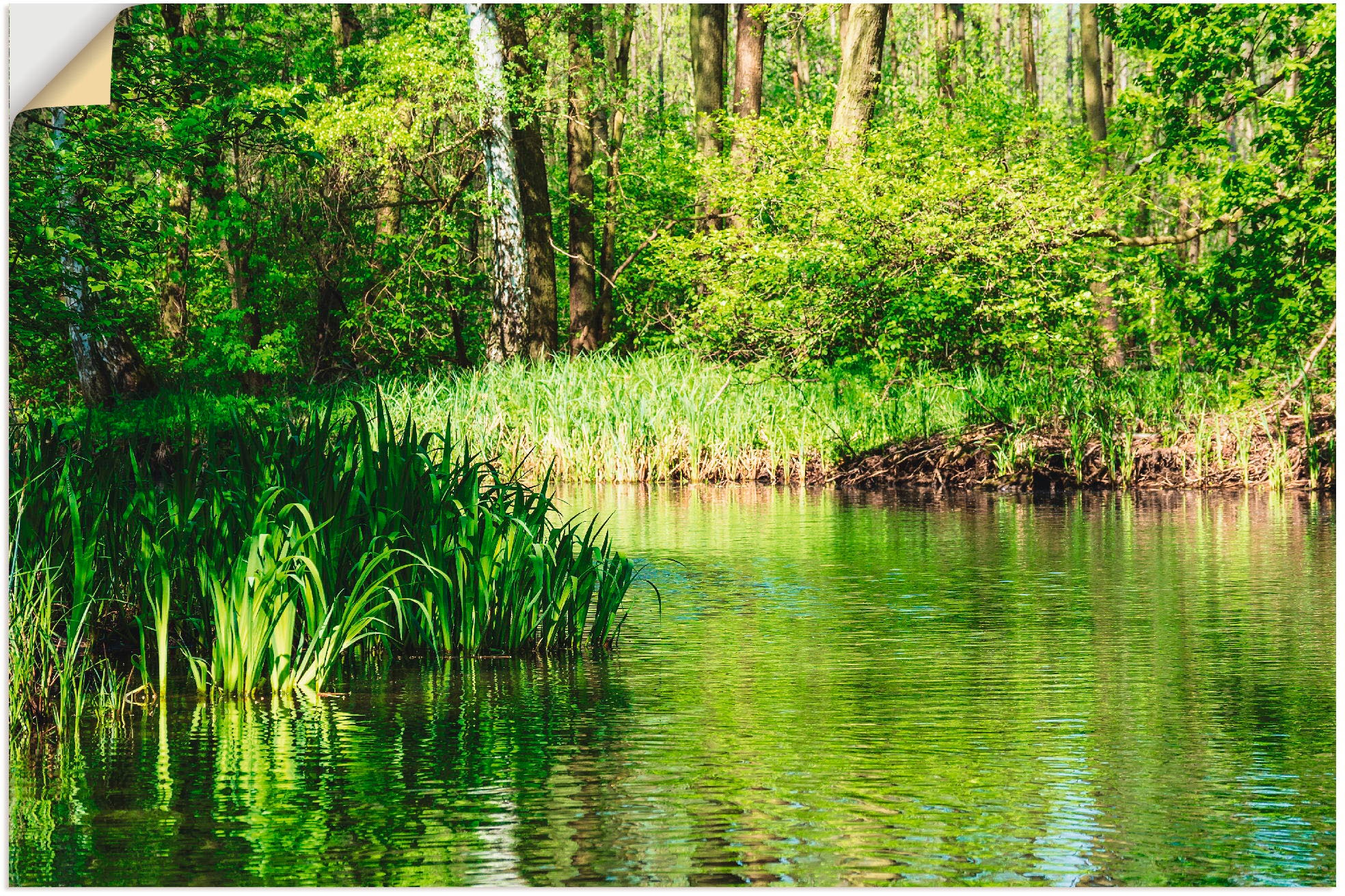 Artland in Wald, »Landschaft bei Lübbenau«, im Alubild, Wandbild als Poster Spreewald kaufen Leinwandbild, Größen | BAUR (1 Wandaufkleber oder versch. St.),