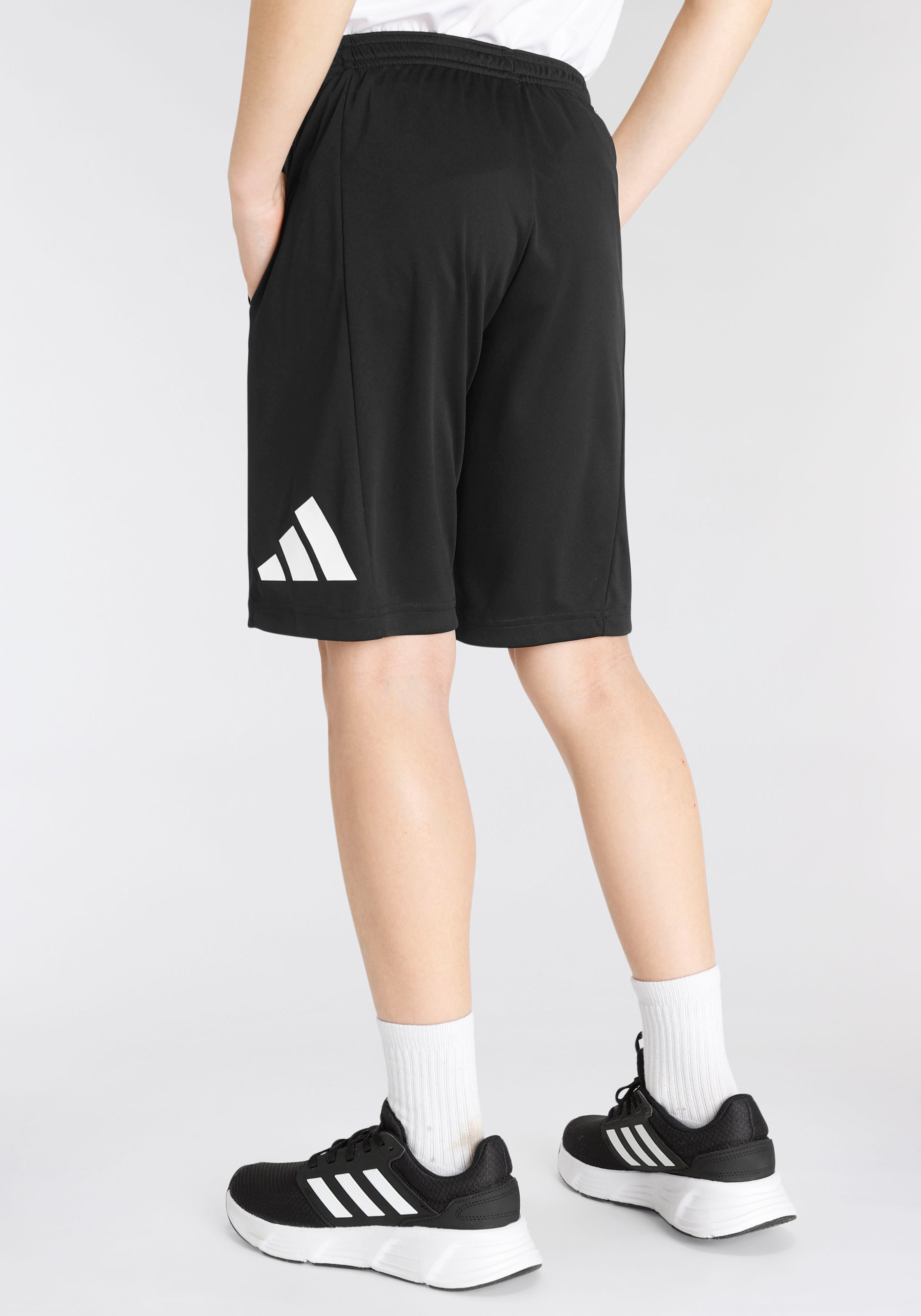adidas Sportswear Shorts »TRAIN ESSENTIALS AEROREADY LOGO REGULAR-FIT«, (1  tlg.) auf Rechnung | BAUR