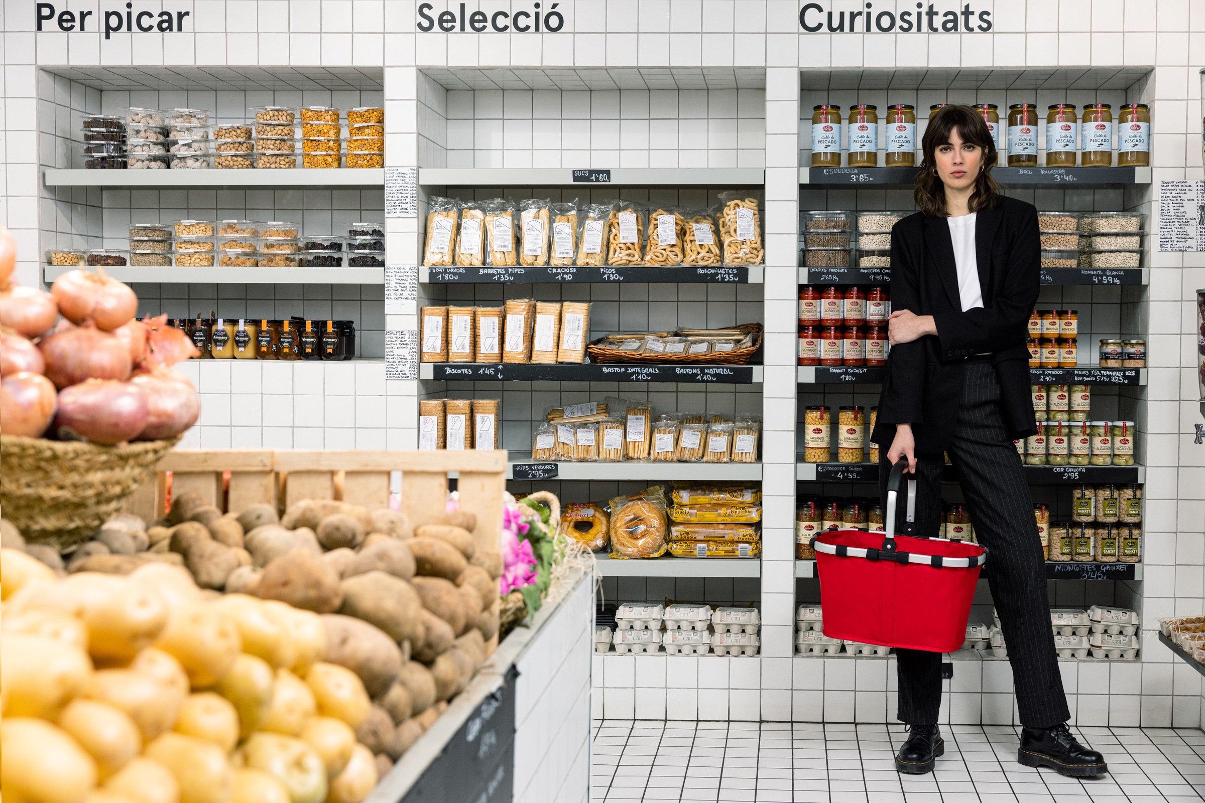 REISENTHEL® Einkaufskorb »carrybag« Standfüße, ummantelter Griff zum Umklappen, Innentasche Reißverschluss