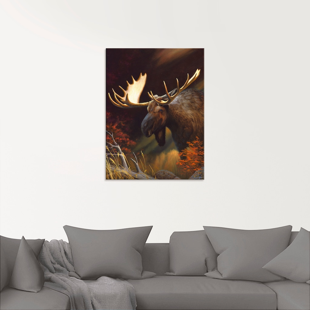 Artland Glasbild »Elch Foto«, Wildtiere, (1 St.)