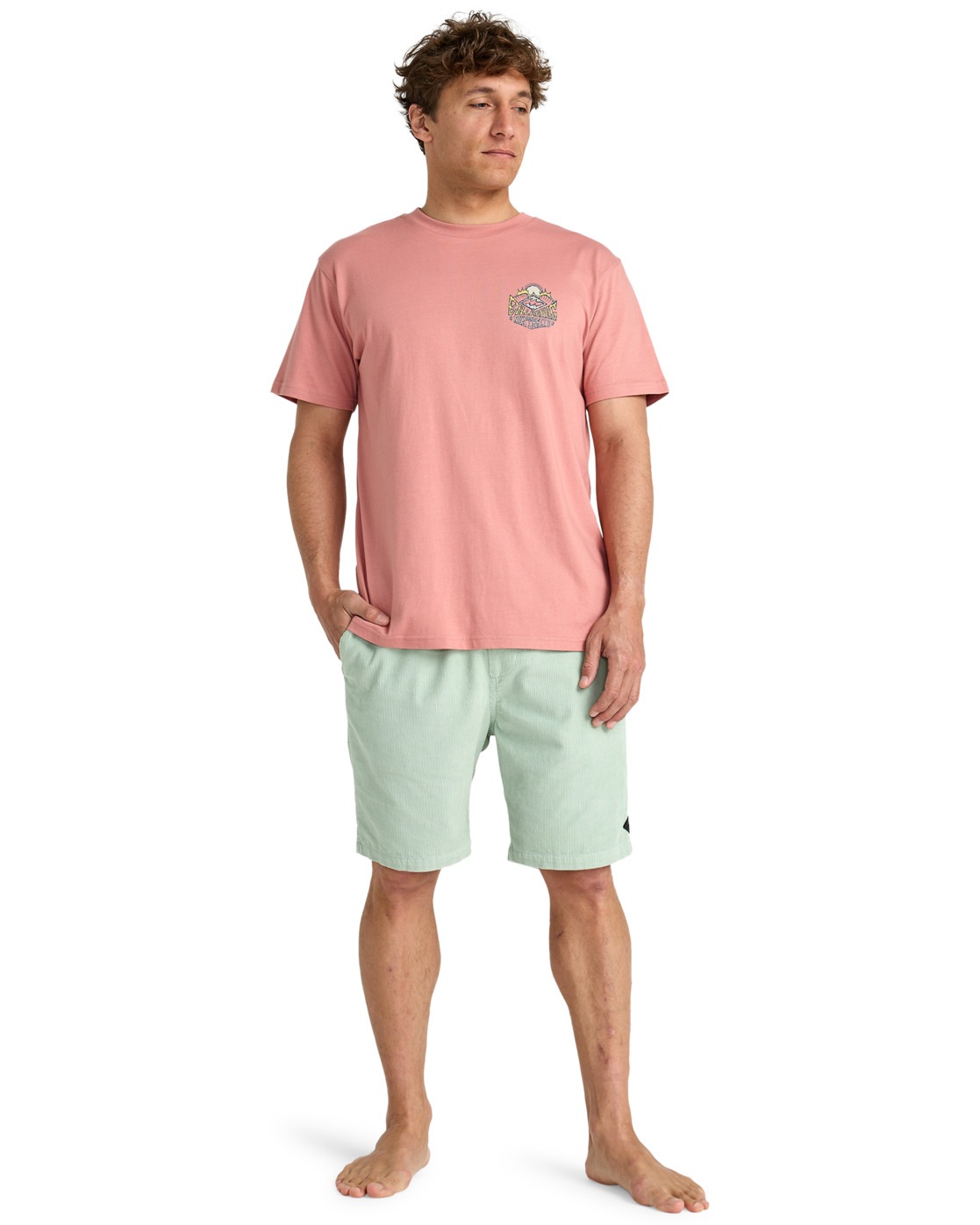 Billabong T-Shirt »Homegrown«