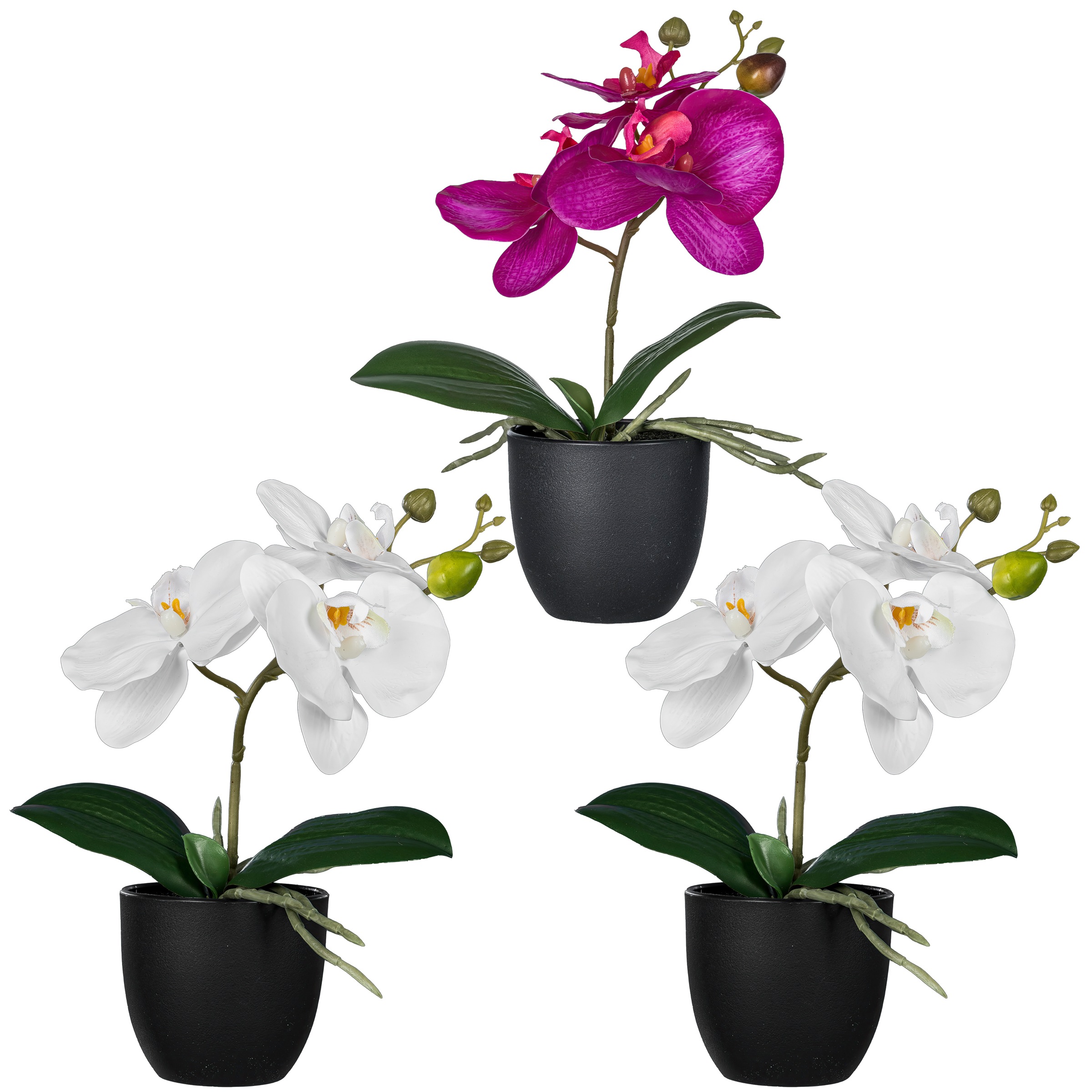 Creativ green Kunstorchidee "Orchidee Phalaenopsis", mit naturgetreuen Blüt günstig online kaufen