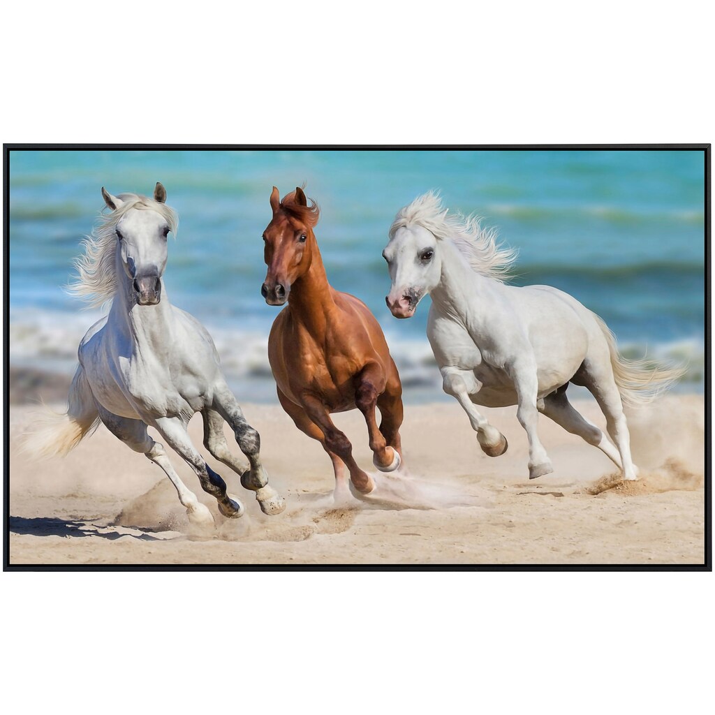 Papermoon Infrarotheizung »Horse Herd Run Galopp«