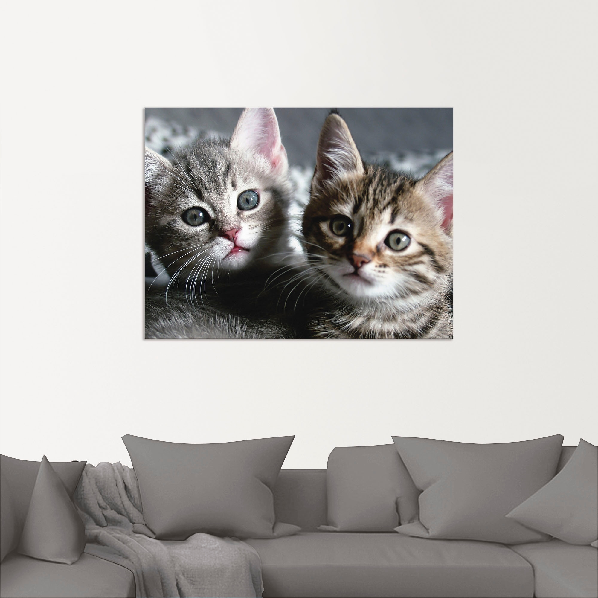 Artland Wandbild »Katze«, Haustiere, (1 St.), als Alubild, Outdoorbild, Leinwandbild, Poster, Wandaufkleber