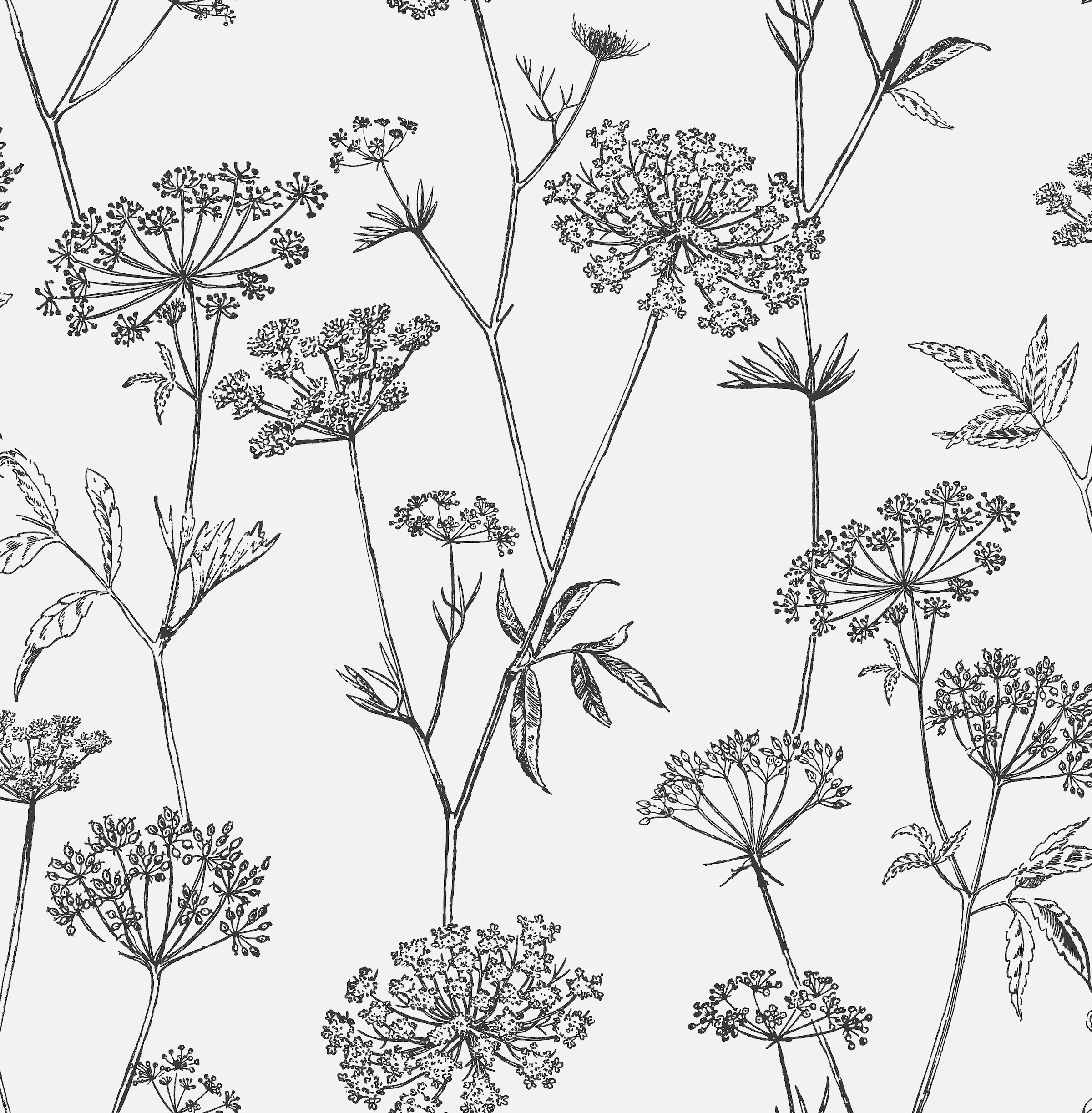 Vliestapete »Blumen«, Weiss/Schwarz - 10mx52 cm