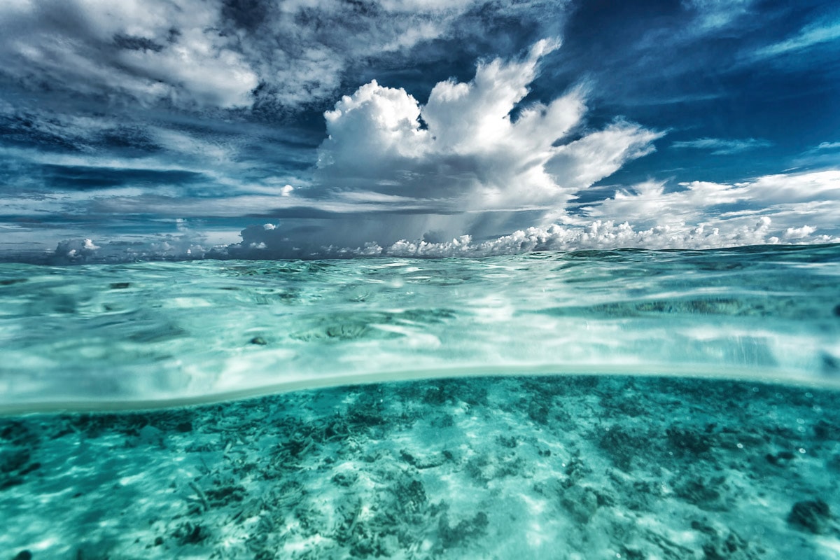 Papermoon "Meer"